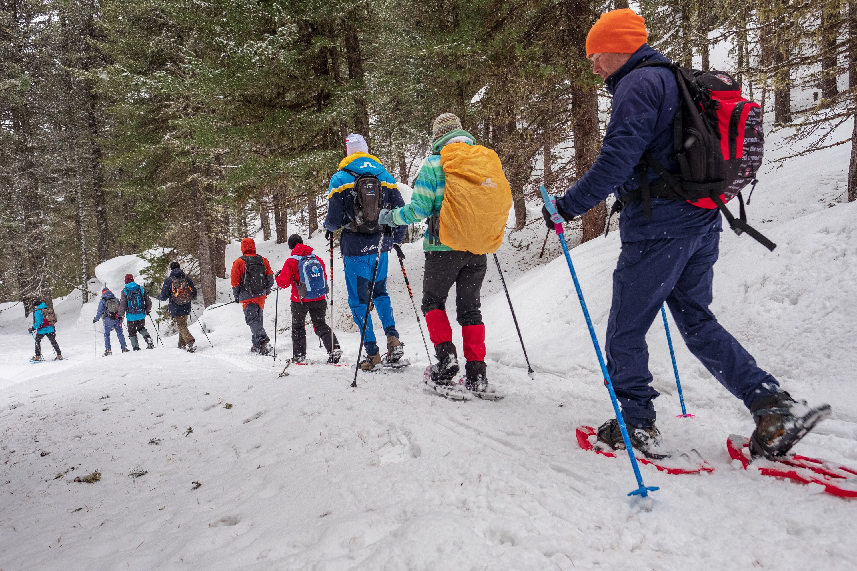 冬のスノーシュートレッキング、自然の中のグループ、背景に雪と木々。