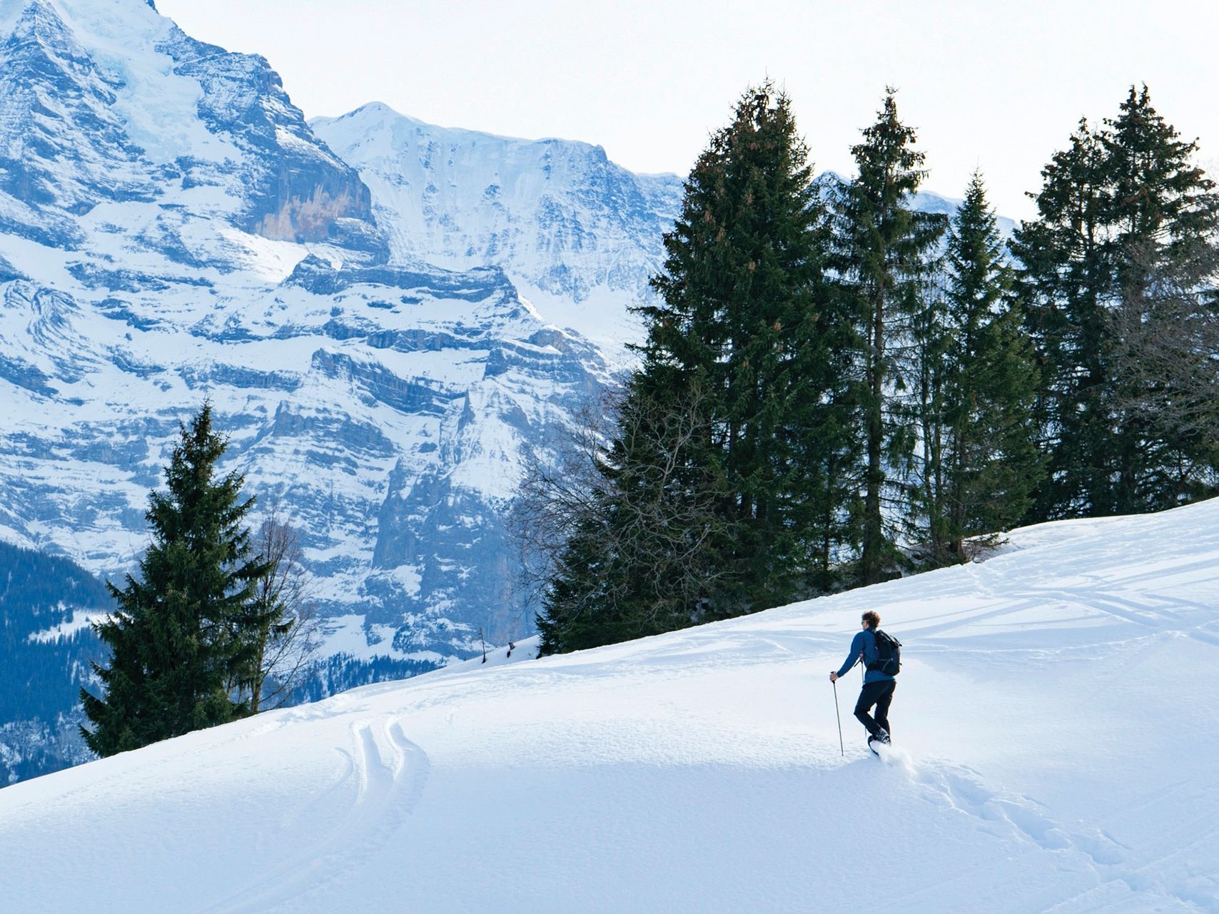 Sneskovandring i Jungfrauregionen med sneklædte bjerge og skove