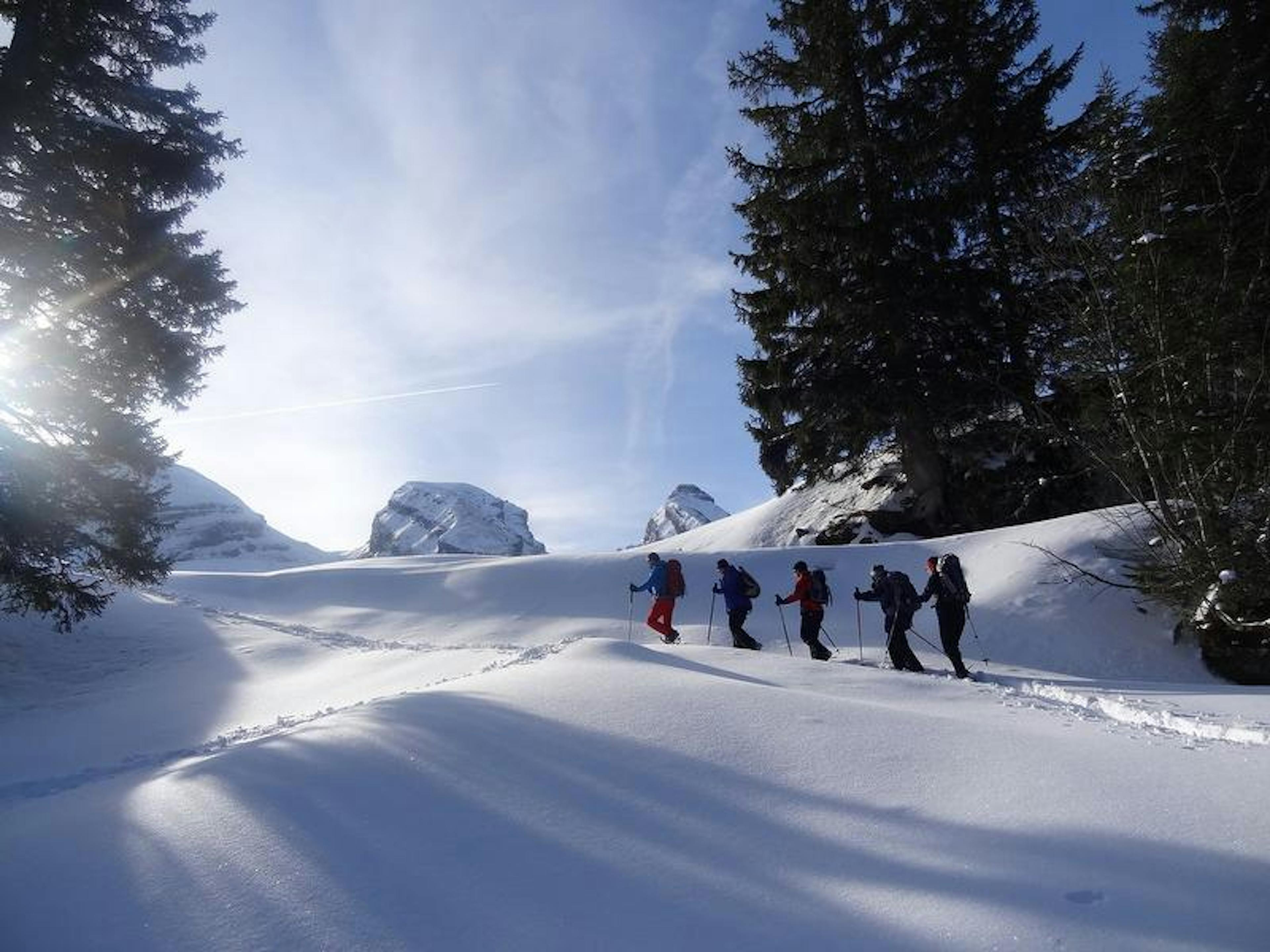 Randonnée en raquettes dans la vallée de Frümsel : randonneurs dans la neige devant un paysage d'hiver pittoresque.