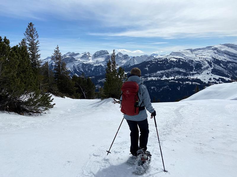 جولة باستخدام الزلاجات الثلجية: استمتع بإطلالة شتوية على الجبال الرائعة في الطبيعة.