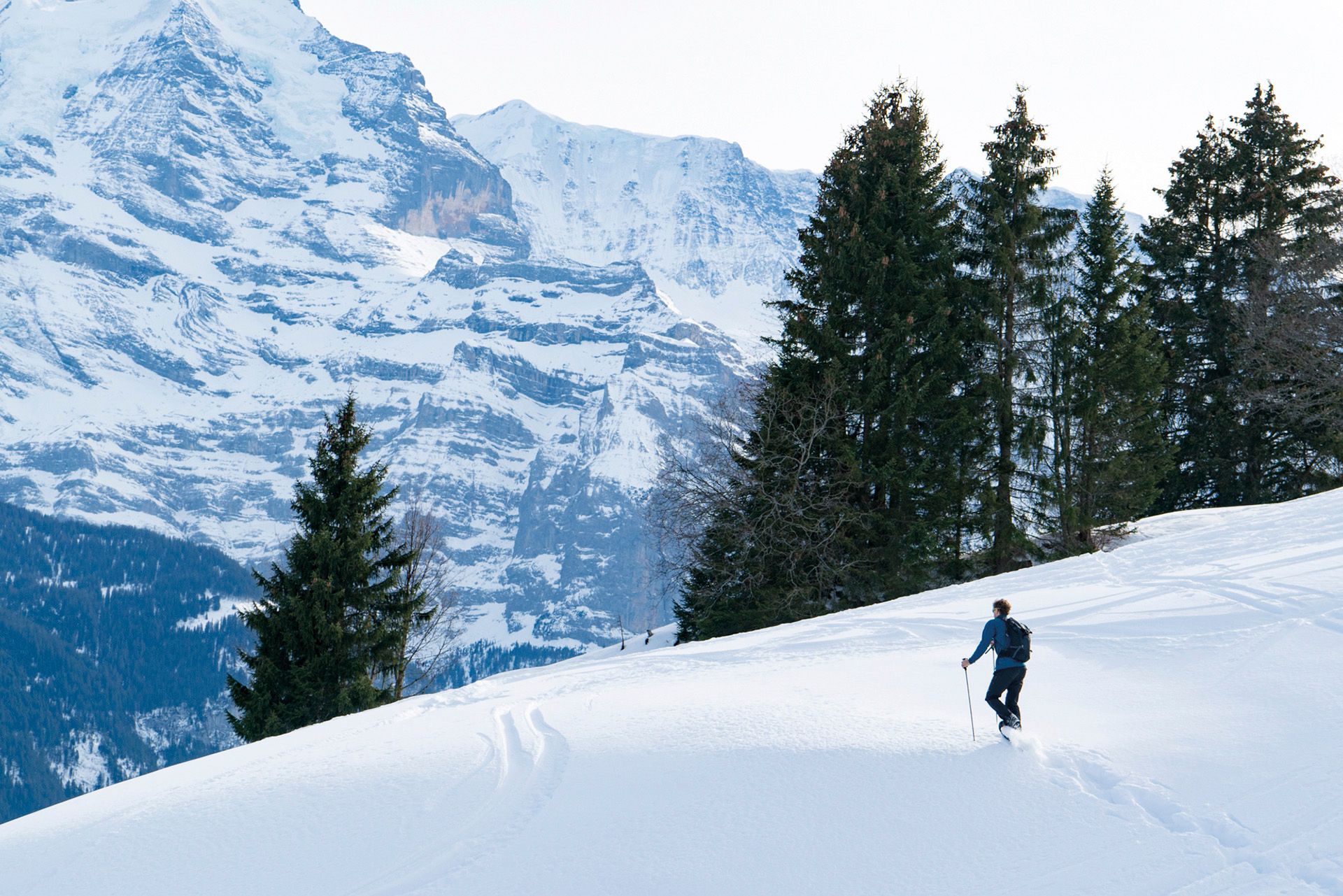Tour de raquetes de neve na parede norte do Eiger, caminhante na neve