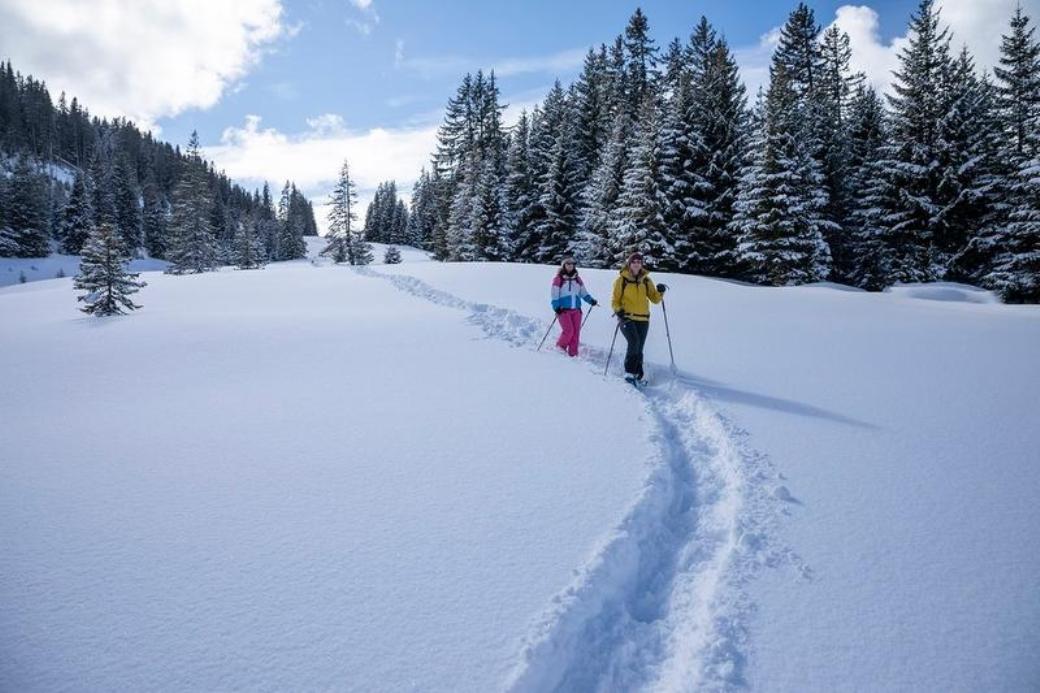 Snowshoe hiking in Flums: Experience the winter landscape with deep snow-covered forests and mountains.