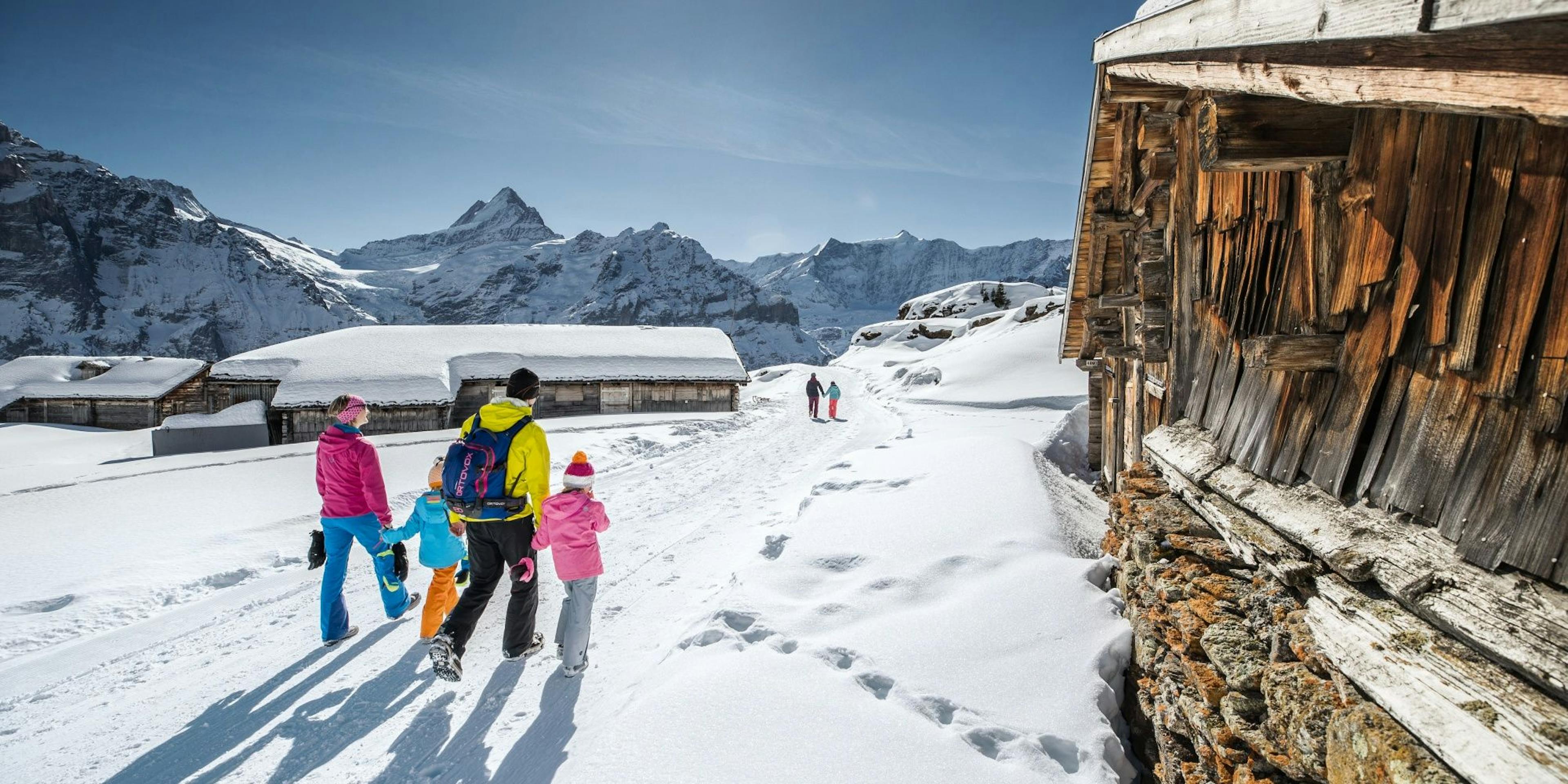 Randonnée en raquettes dans la région de la Jungfrau avec des enfants dans un paysage hivernal. Profite de la nature enneigée.