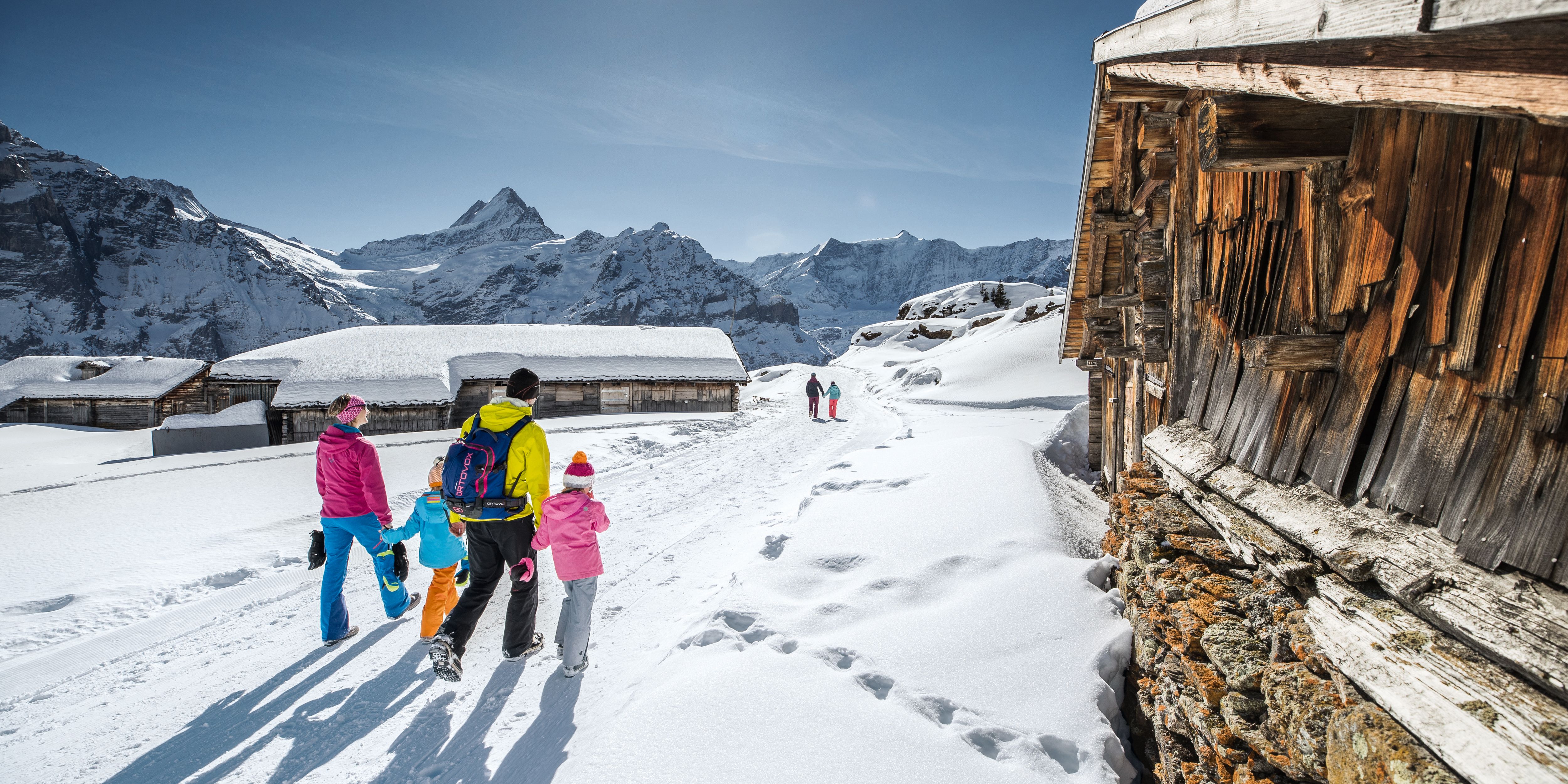 Schneewandern Jungfrau mit Familiengruppe, schneebedeckte Landschaft, Berghütten