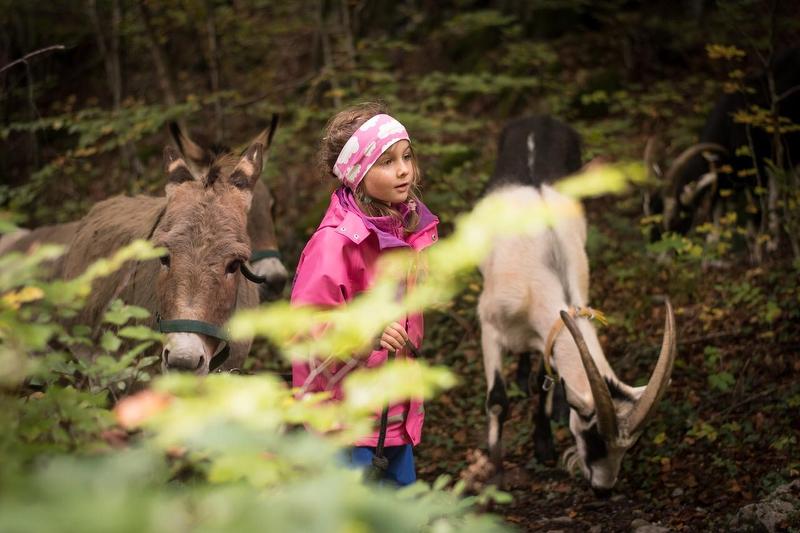 Geissenwanderung: Kind mit Esel und Ziege in der Natur beim aufregenden Wandern im Wald.