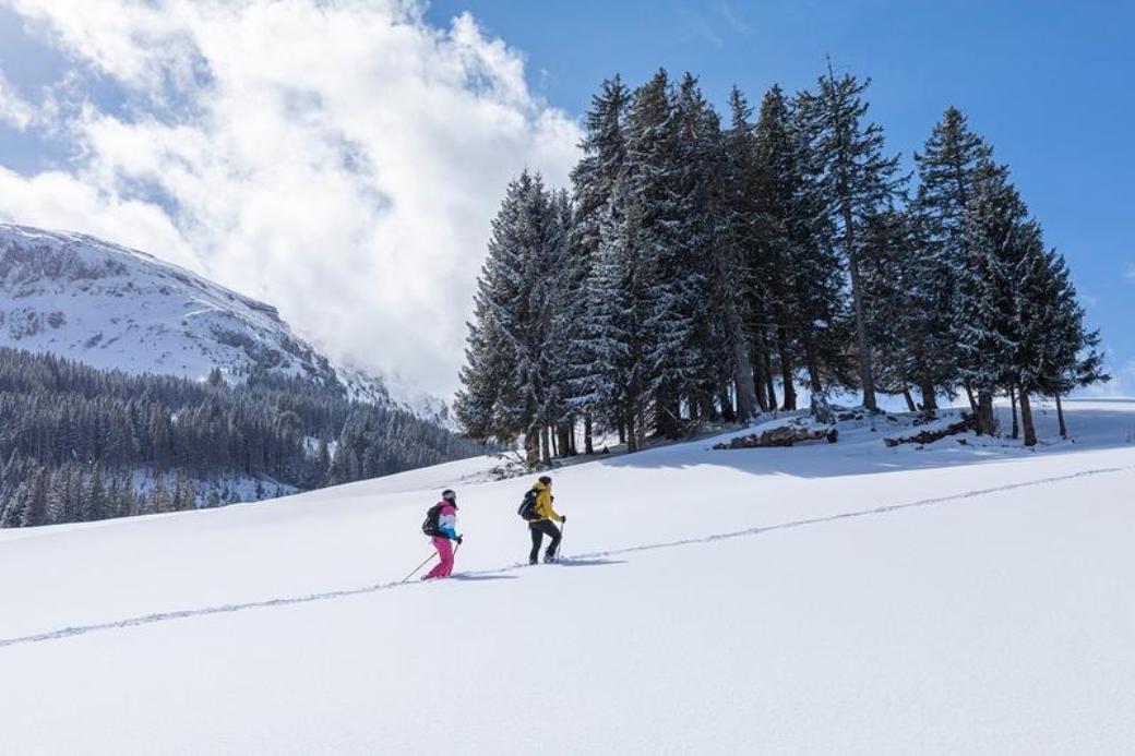 Snowshoe hiking Schönhalden in winter through the snowy landscape with tall trees and open mountains.
