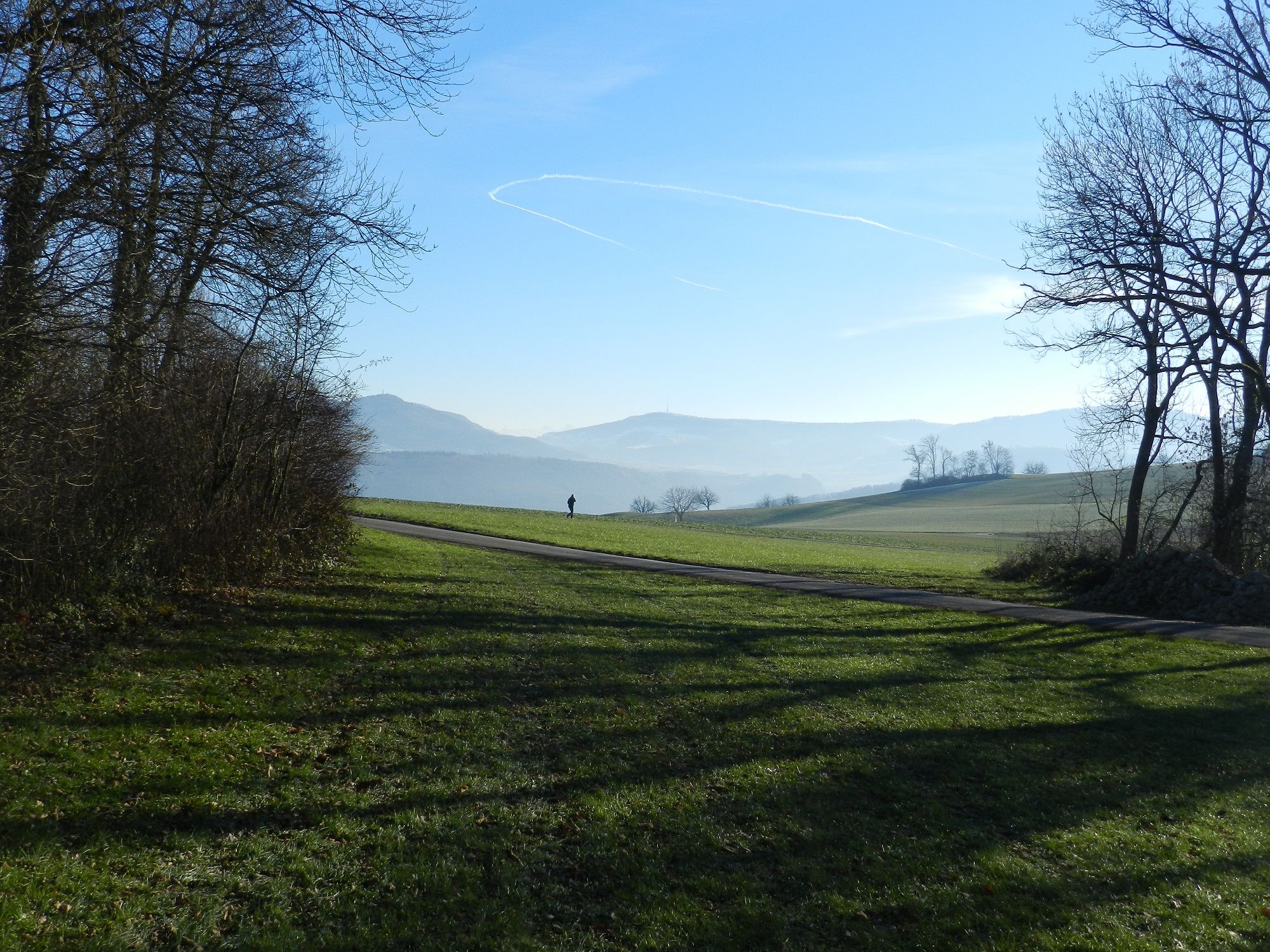 Wandeling door dennenbomen in Schupfart in de zomer met een duidelijk uitzicht op de bergen