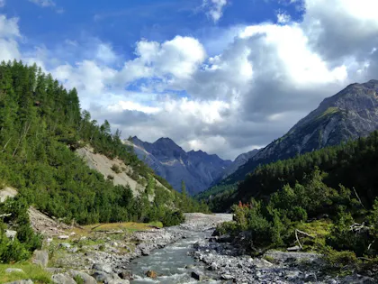 Schweizer Nationalpark mit Gebirgen, Bäumen und Fluss