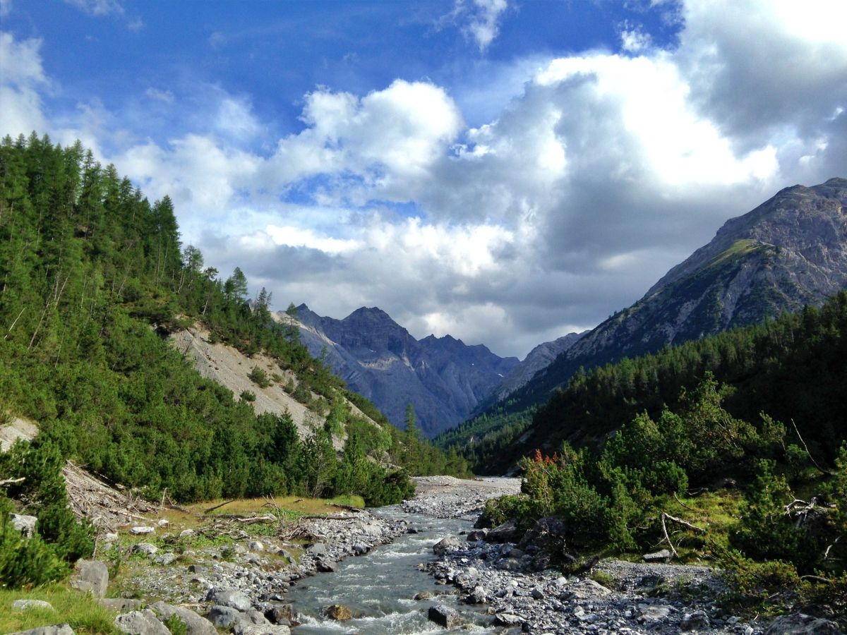 Parco Nazionale Svizzero: Paesaggi mozzafiato con montagne, fiumi e natura rigogliosa in Engadina.