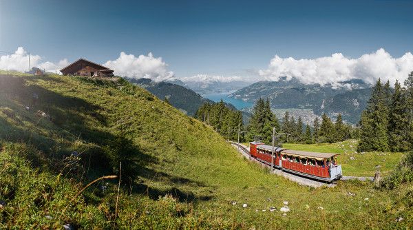 Schynige Platte Bahn mit blühenden Wiesen und Bergblick