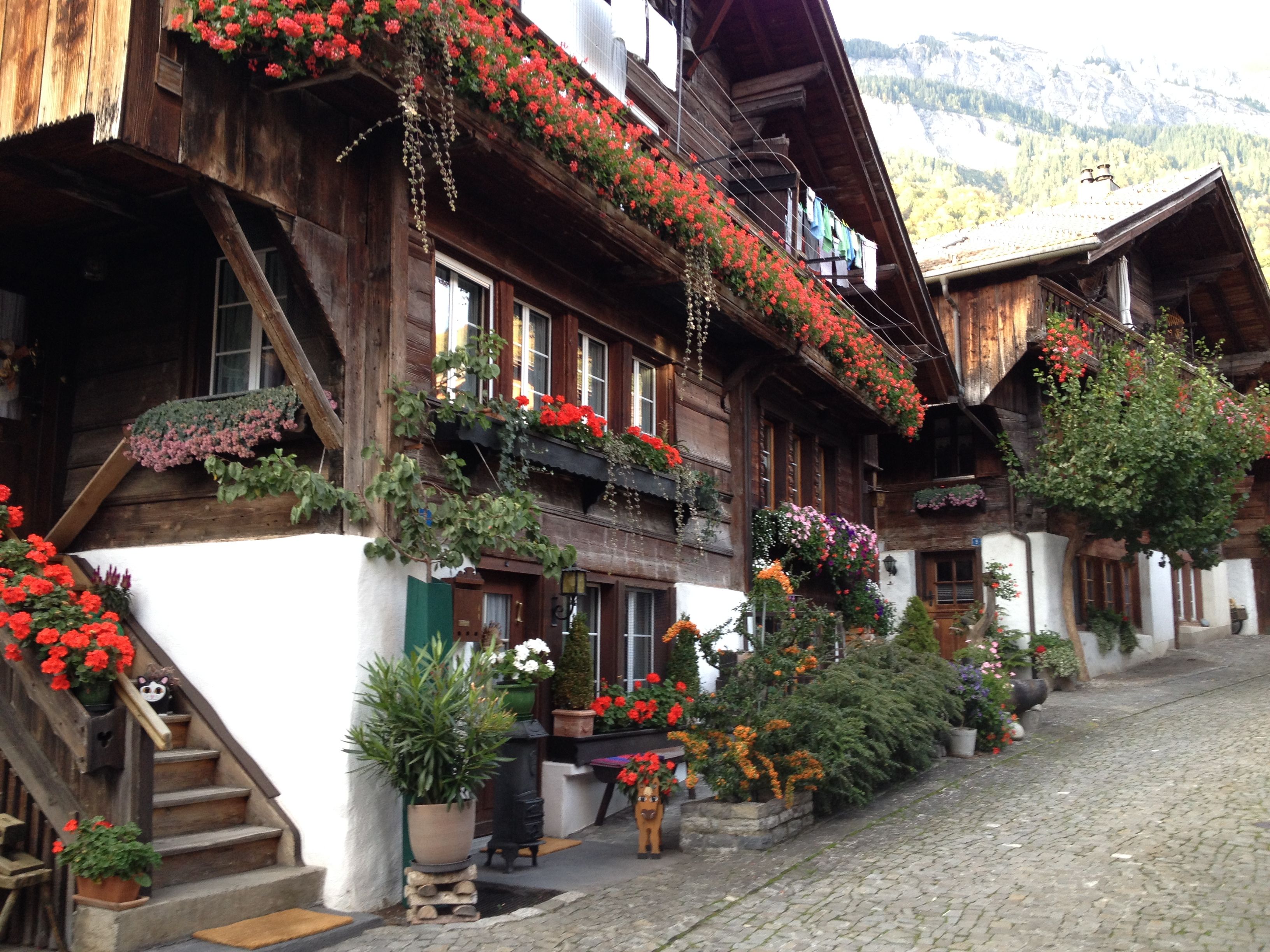 Waterfall in the gorge of Pure Switzerland, blooming plants, wooden buildings.