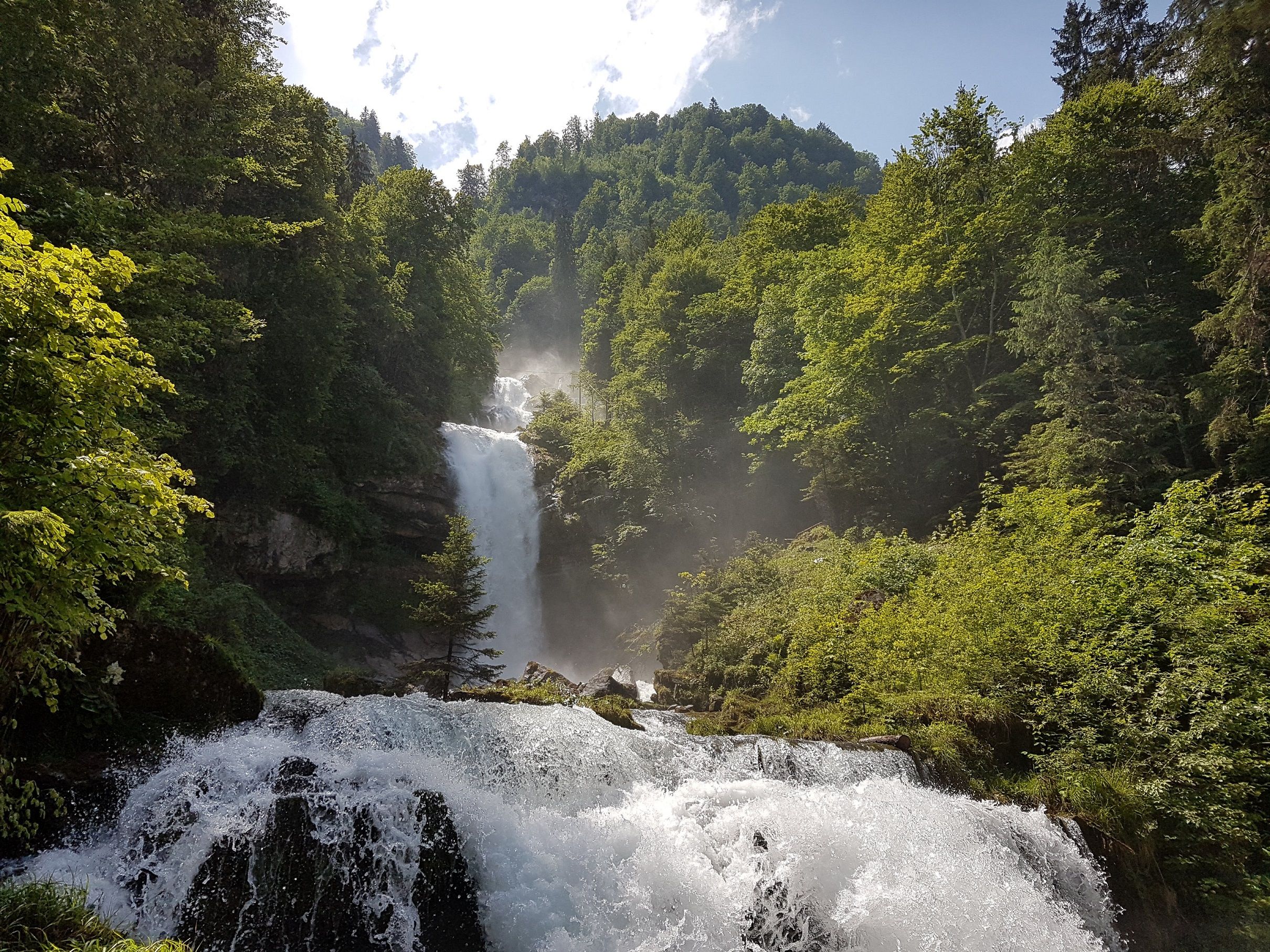 See, gorge and waterfall in nature with green trees