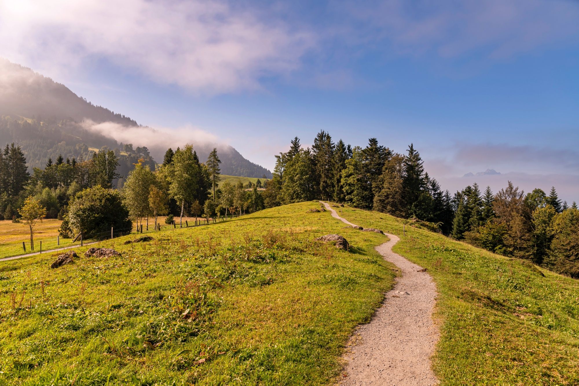 Seebodenalp: เส้นทางเดินป่าที่เงียบสงบ มีต้นไม้และกลิ่นดอกหญ้าในธรรมชาติ เหมาะสำหรับการผ่อนคลาย.