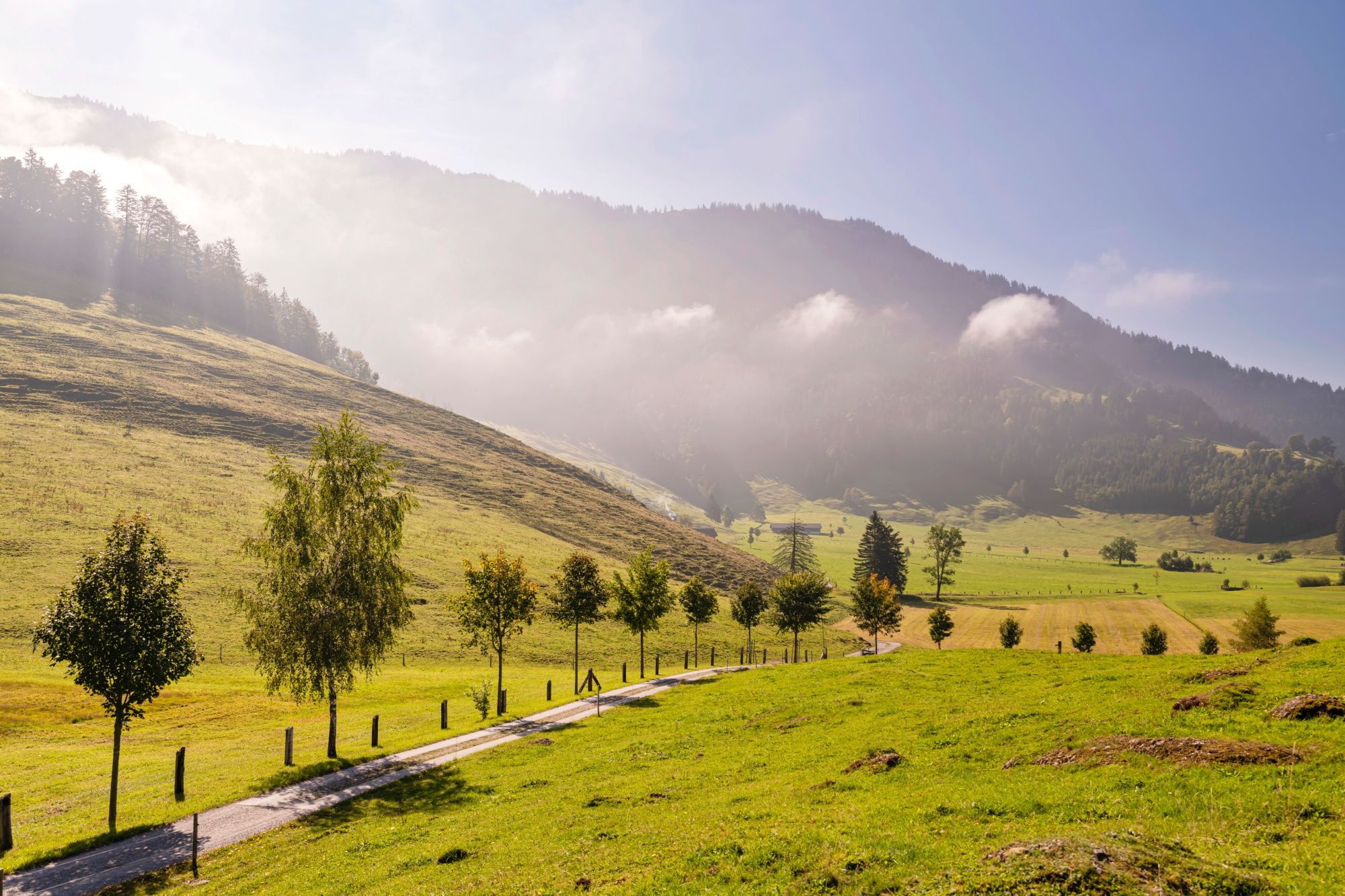Seebodenalp: การเดินป่าที่งดงามผ่านธรรมชาติที่คูสส์นาอชพร้อมต้นไม้และภูเขา.