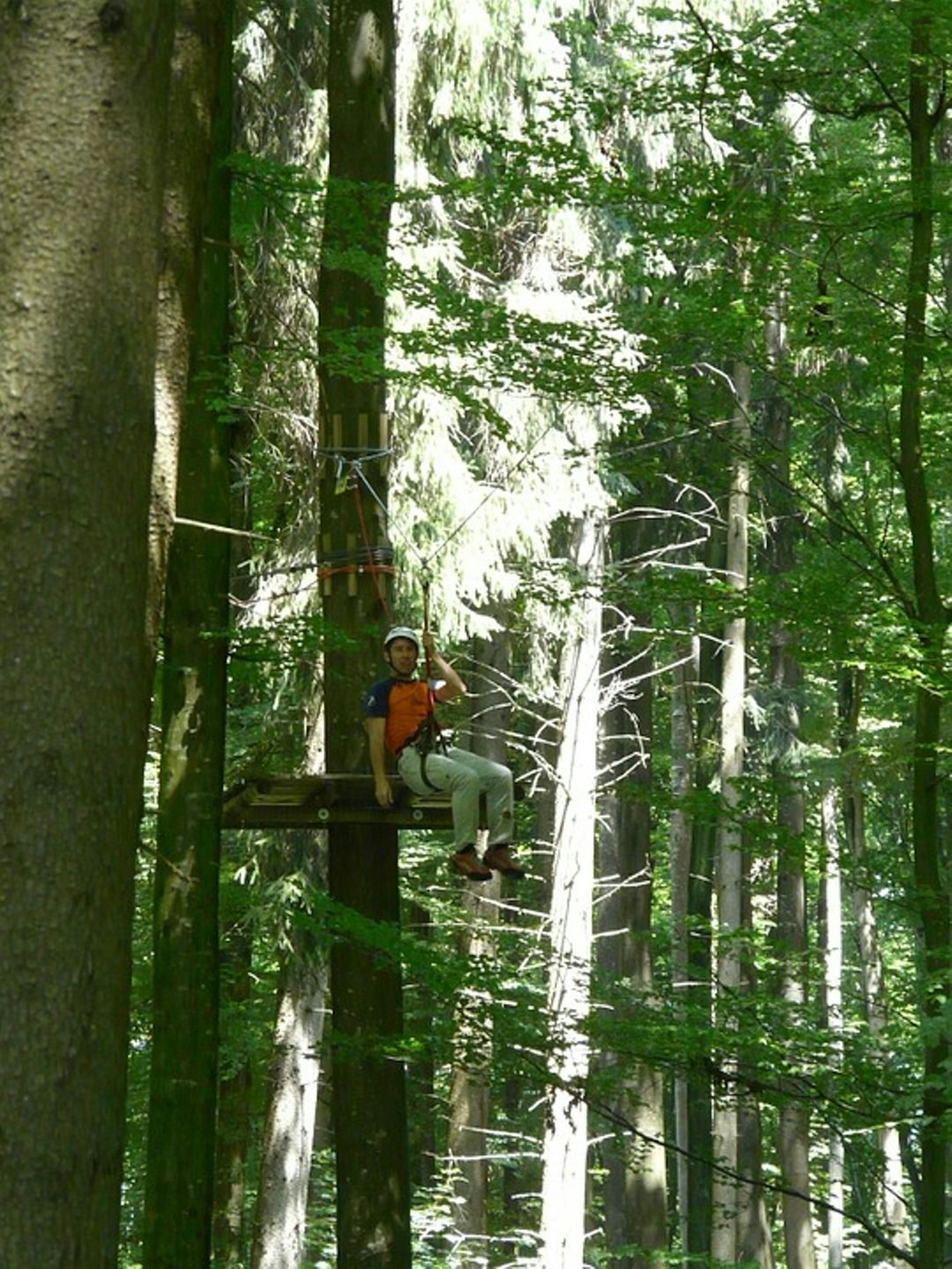 Tyrolienne-Baum-Seilbahn in einem dichten Wald bei Tageslicht.