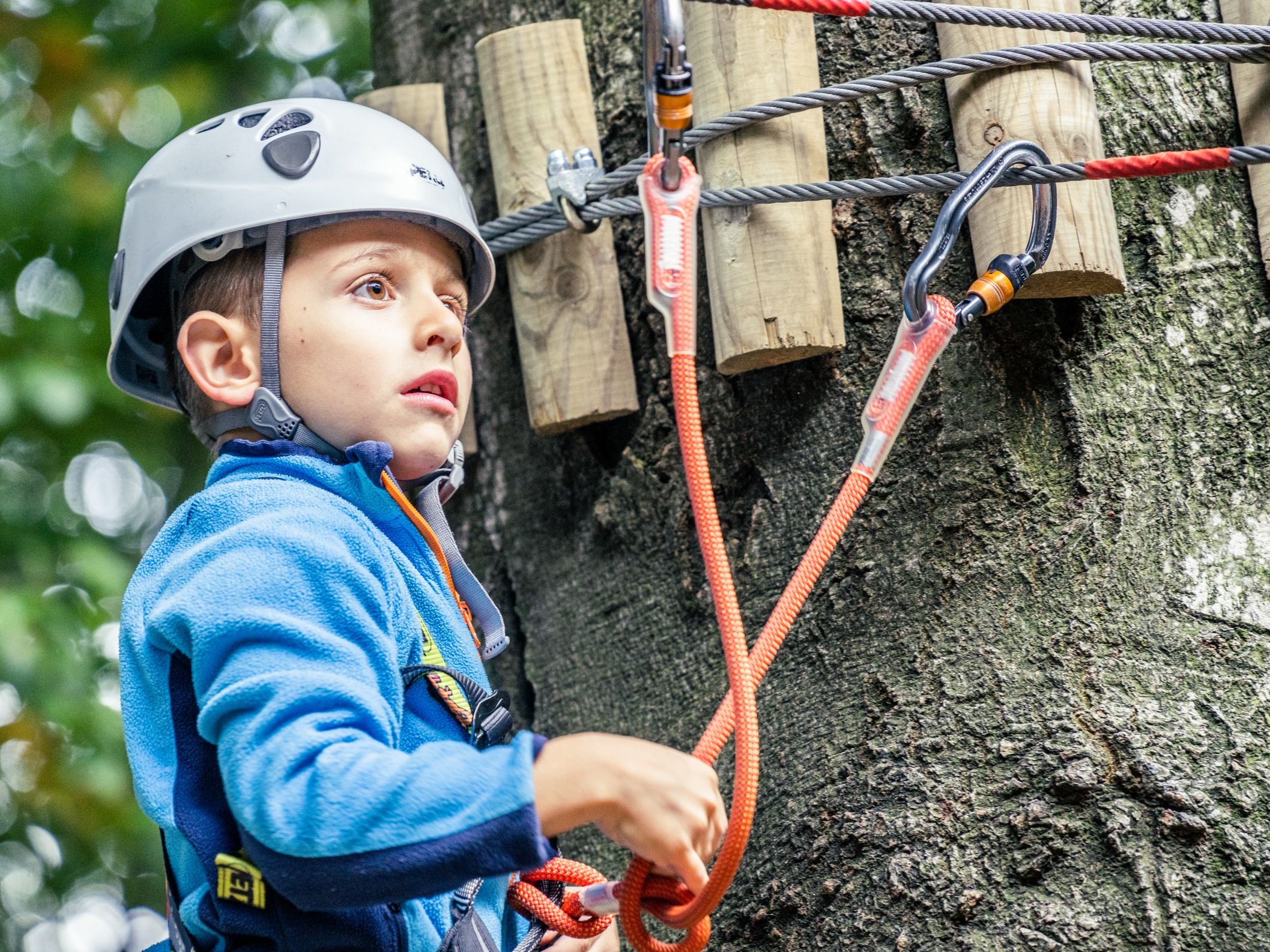 मोंटे तमरो ऊपरी रस्सी पार्क: प्राकृतिक वातावरण में बच्चों के लिए रोमांचक साहसिक गतिविधियाँ जिसमें आरोहण तत्व शामिल हैं।