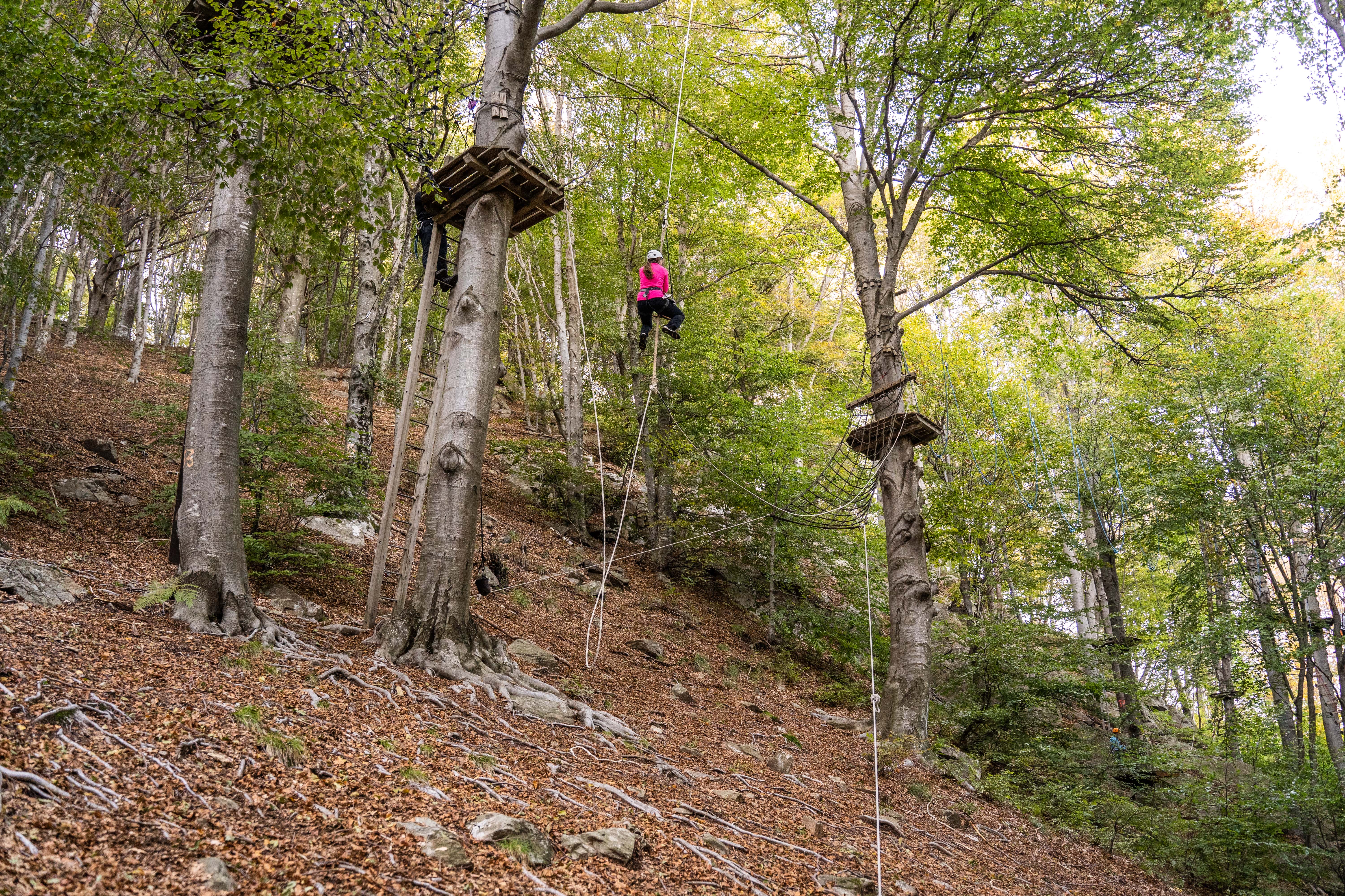 सिलपार्क मोंटे टामारो में हाई-ट्रेज़ के साथ, पेड़ पर चढ़ने और पतझड़ के माहौल के साथ