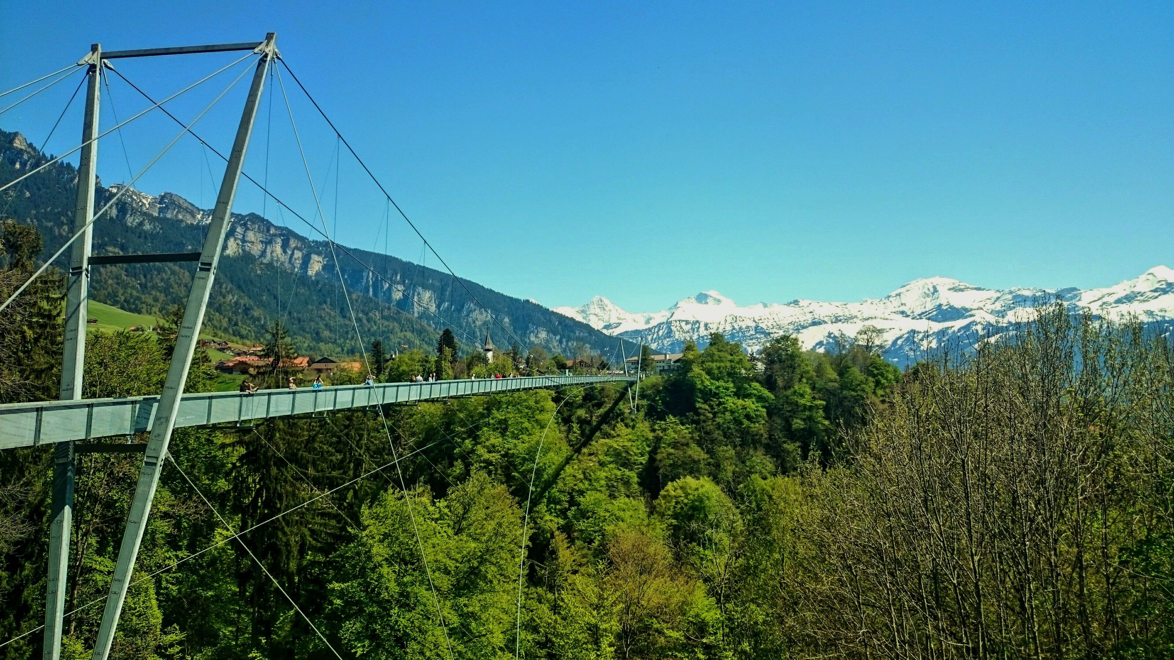 Ab Interlaken: Tagestour Thunersee Mit Lokalem Guide