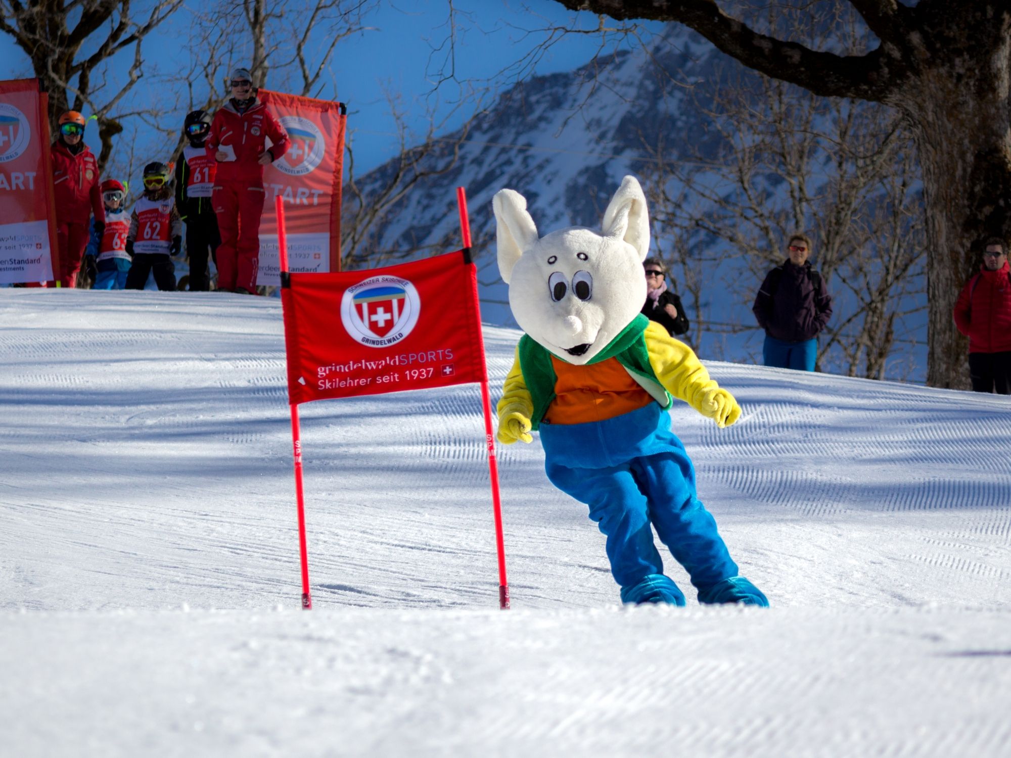 Skidåkning i Grindelwald med maskotar och deltagare