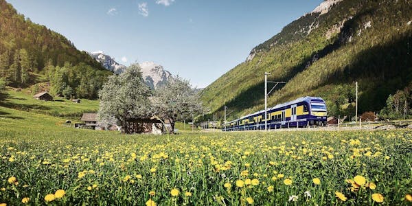 Tour Grindelwald ab Zürich geführt