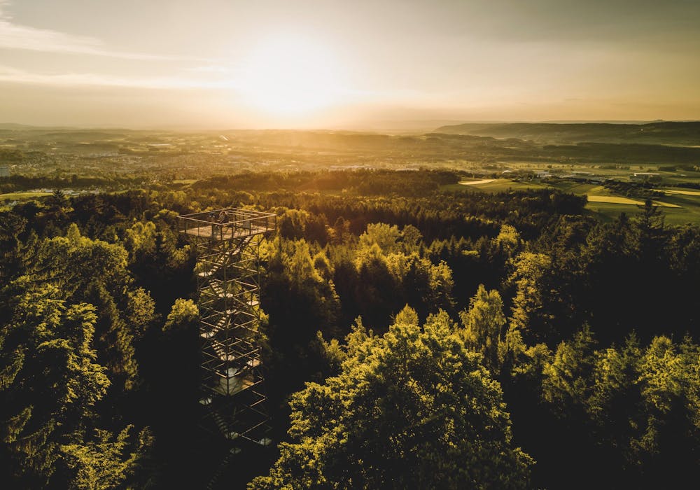 Staehlibuckturm: impresionante vista sobre Suiza, rodeado de naturaleza y hermosas montañas.