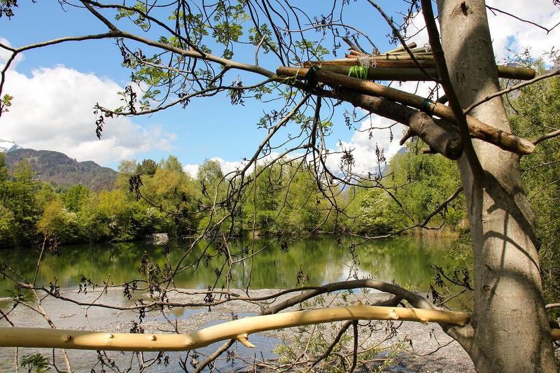 جولة بالمراكب في هيديلاند مع إطلالة على بحيرة هادئة وأشجار خضراء.