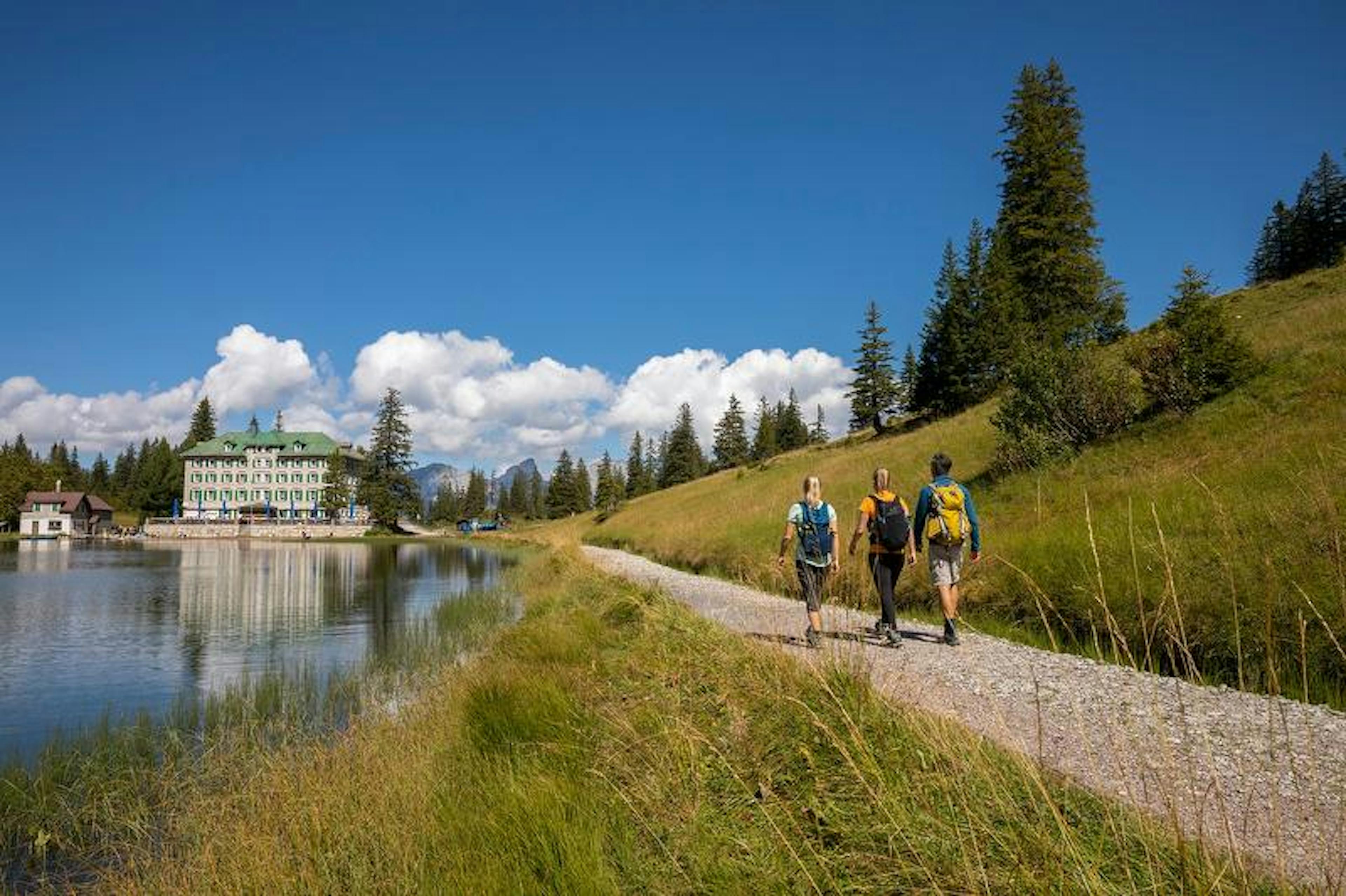 Culinary hike in the mountains, participants walking along the shore. Forested surroundings, blue sky.