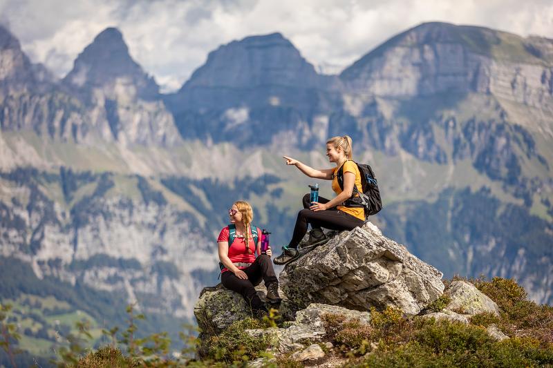 جولة طهي في الجبال مع الأصدقاء، إطلالة على القمة.