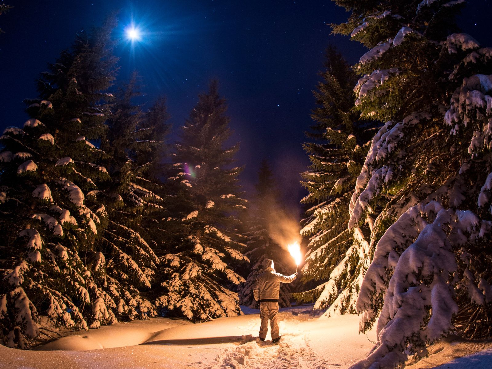 Torch walking in the winter forest with snow-covered trees and a clear night, ideal activity for groups.