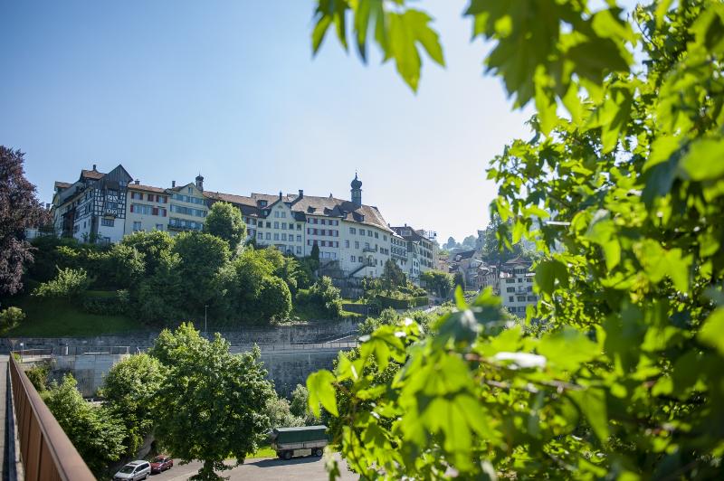 Toggenburg: Utsikt over det pittoreske Lichtenstein med grønne åser og typisk arkitektur.
