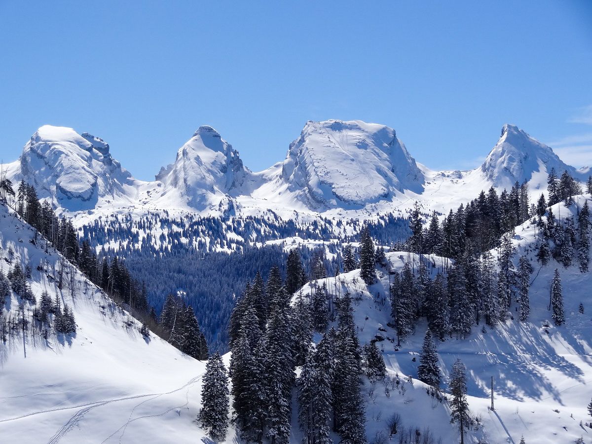 Schneeschuhwanderung in winterlicher Berglandschaft mit schneebedeckten Gipfeln und Tannenwäldern.