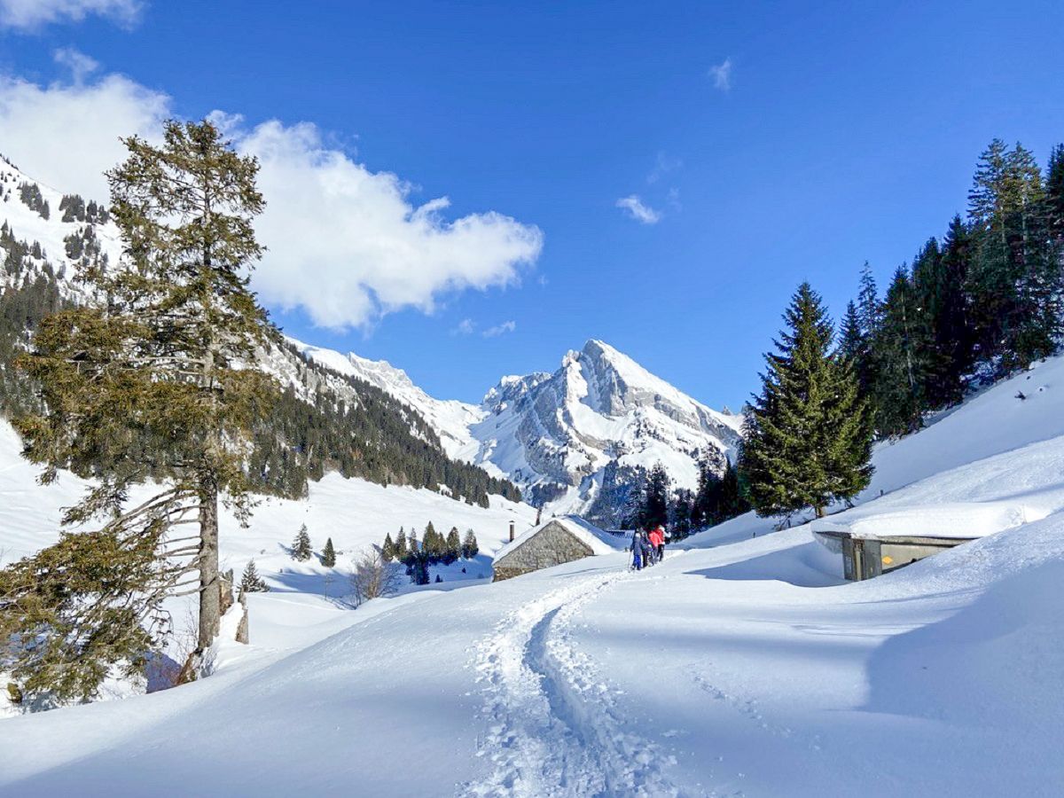 Schneeschuhwanderung: Schnee bedeckte Spur mit Wanderern in den Alpen, Winterlandschaft, klare Luft.