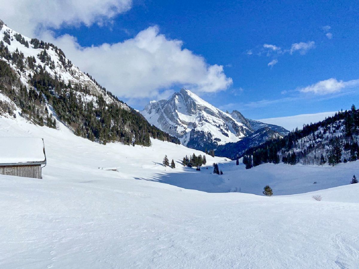 Schneeschuhwanderung in schneebedeckter Landschaft mit Bergen und klaren Himmel.