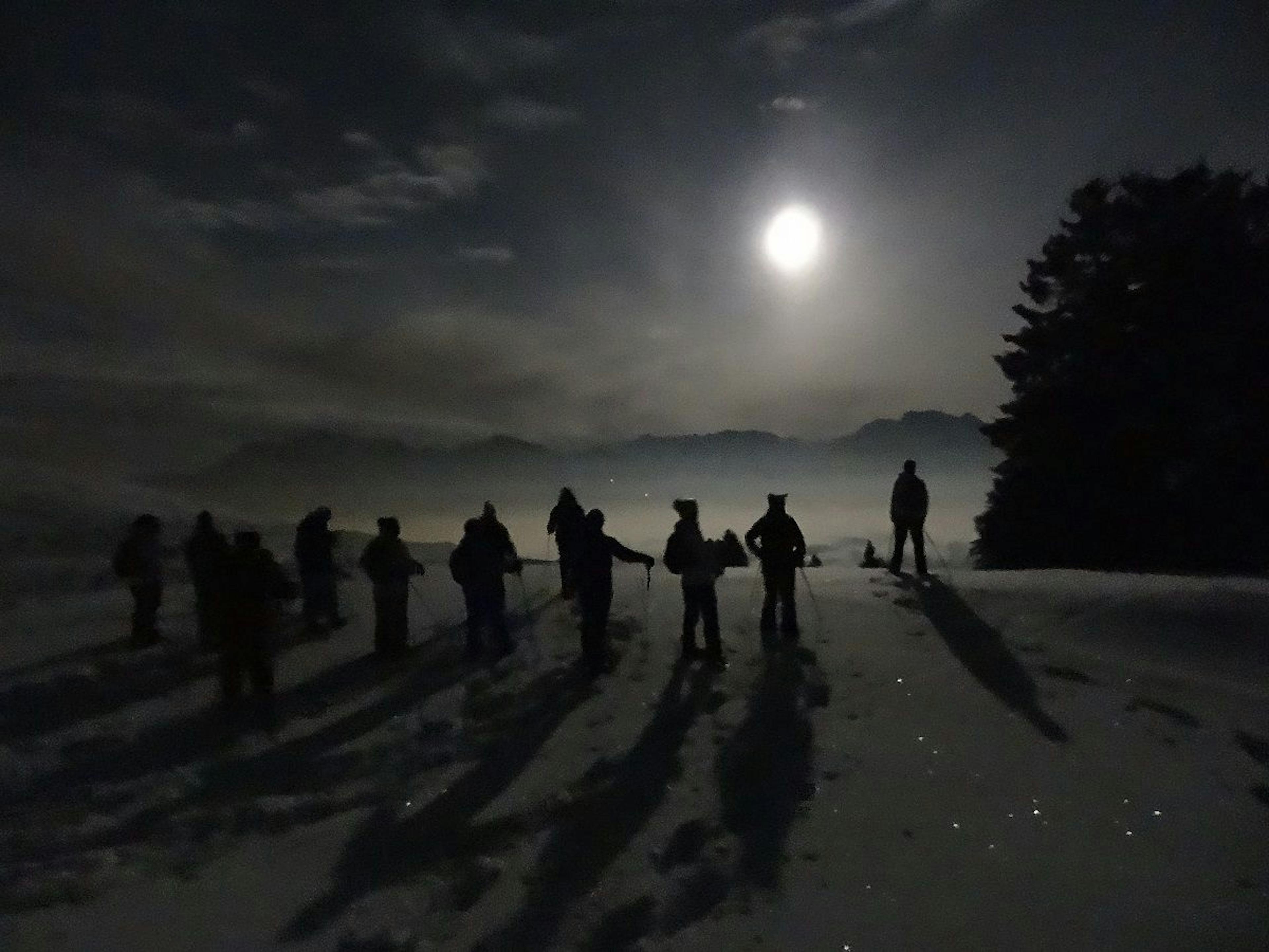 Schneeschuhwanderung unter Vollmond mit Gruppe im Winter, perfekte Aktivität in der Natur