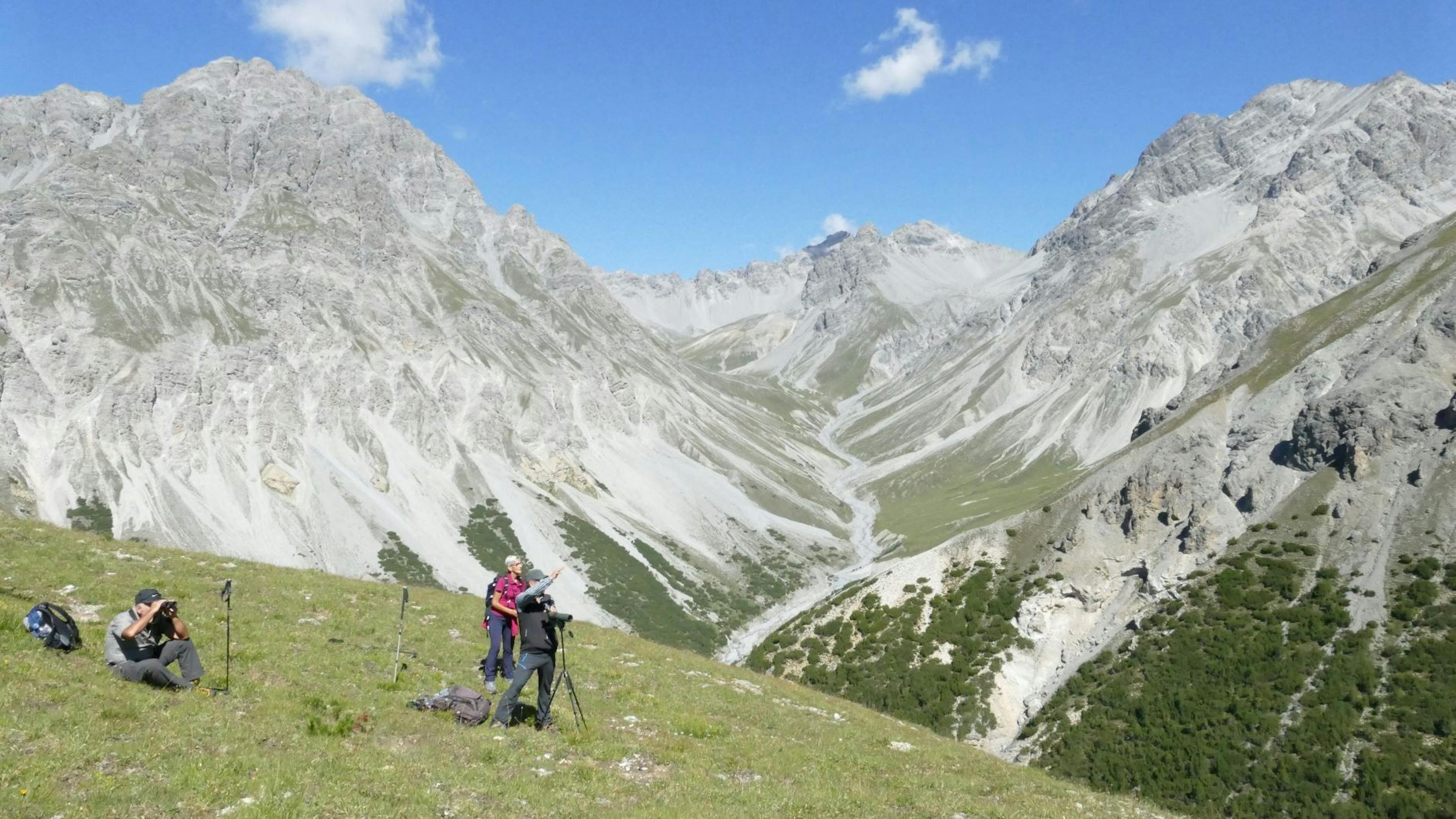 Wanderung in den Alpen: atemberaubende Aussicht, Natur, Beobachtung von Tieren und Jagen