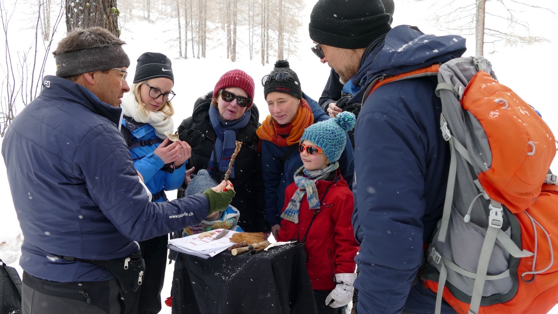 Vandring: Grupp upptäcker djurspår i snön och lär sig om naturen