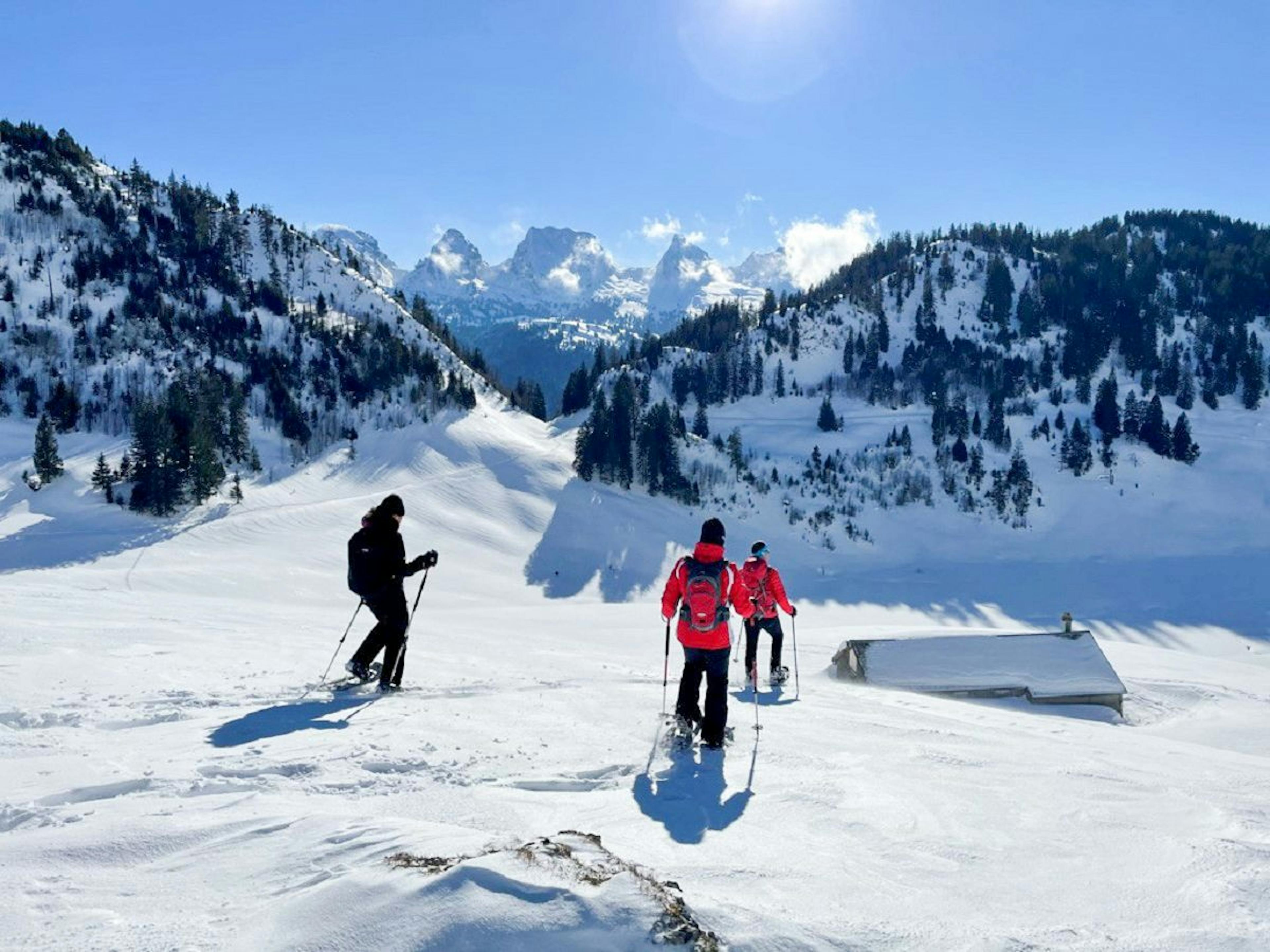 Caminata con raquetas de nieve en los Alpes con senderistas en montañas nevadas y paisaje invernal.