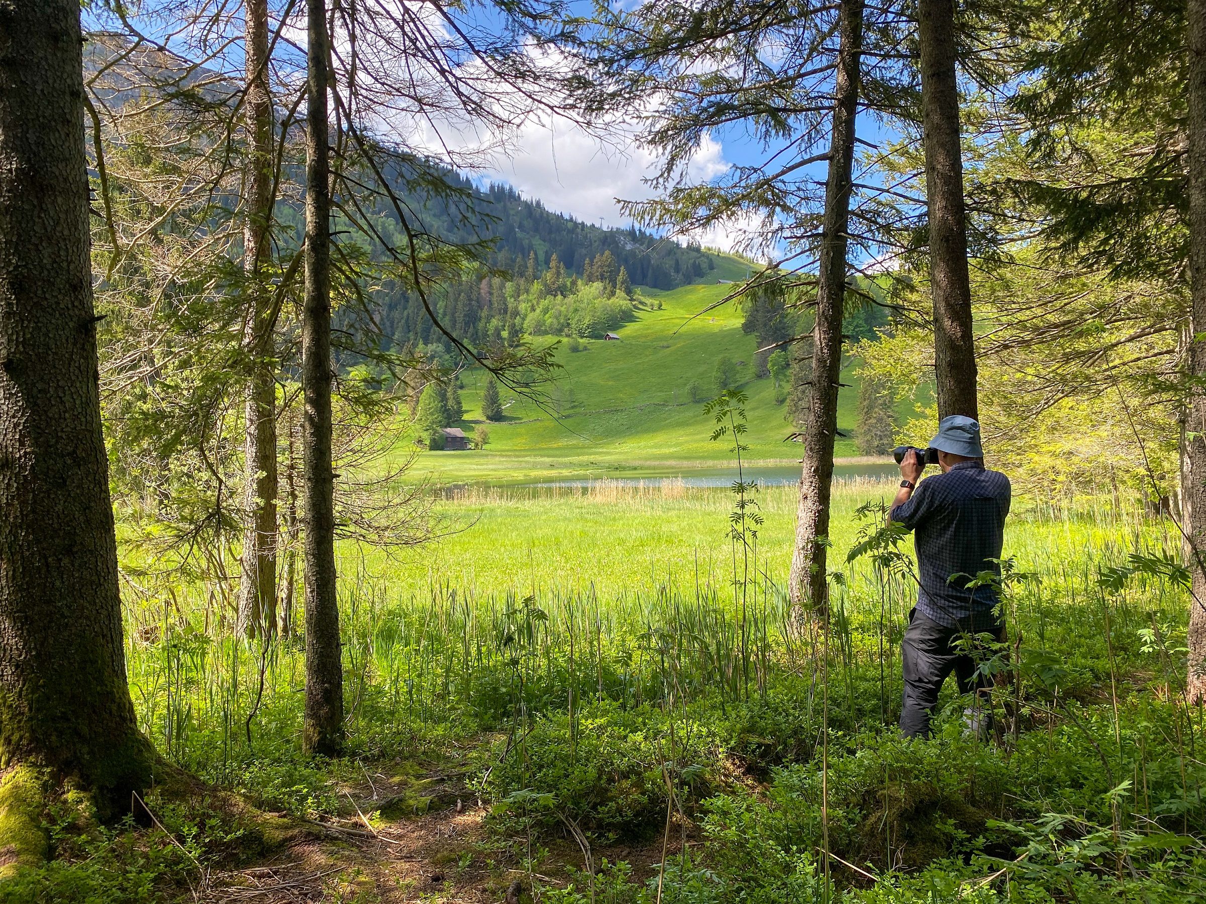 フォトコース トグエンブルク: 森や草原を撮影しながら自然を発見しよう。