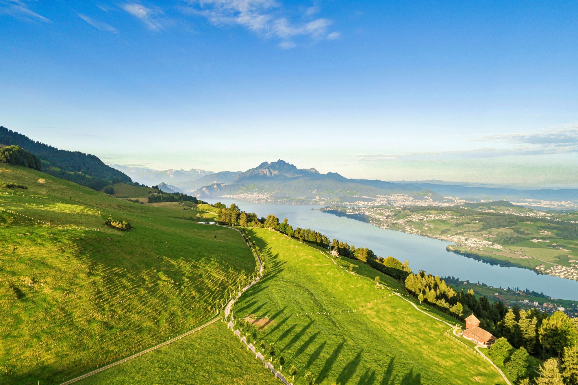 Seebodenalp: วิวทิวทัศน์ที่งดงามเหนือทะเลสาบสี่มุมโลก พร้อมทุ่งหญ้าเขียวขจีในฤดูร้อน.