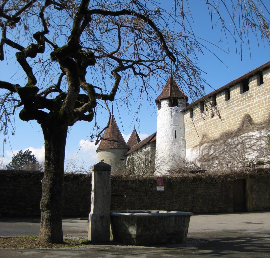 Piazza Törli a Murten con torre storica e albero
