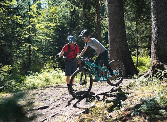Steinbock League: Mountainbiking im Wald mit Freunden, perfekte Bedingungen für Abenteuer und Teamaktivitäten.