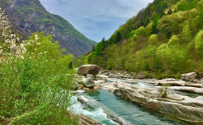 Verzascatal mit grünem Ufer und klarem Wasserfluss