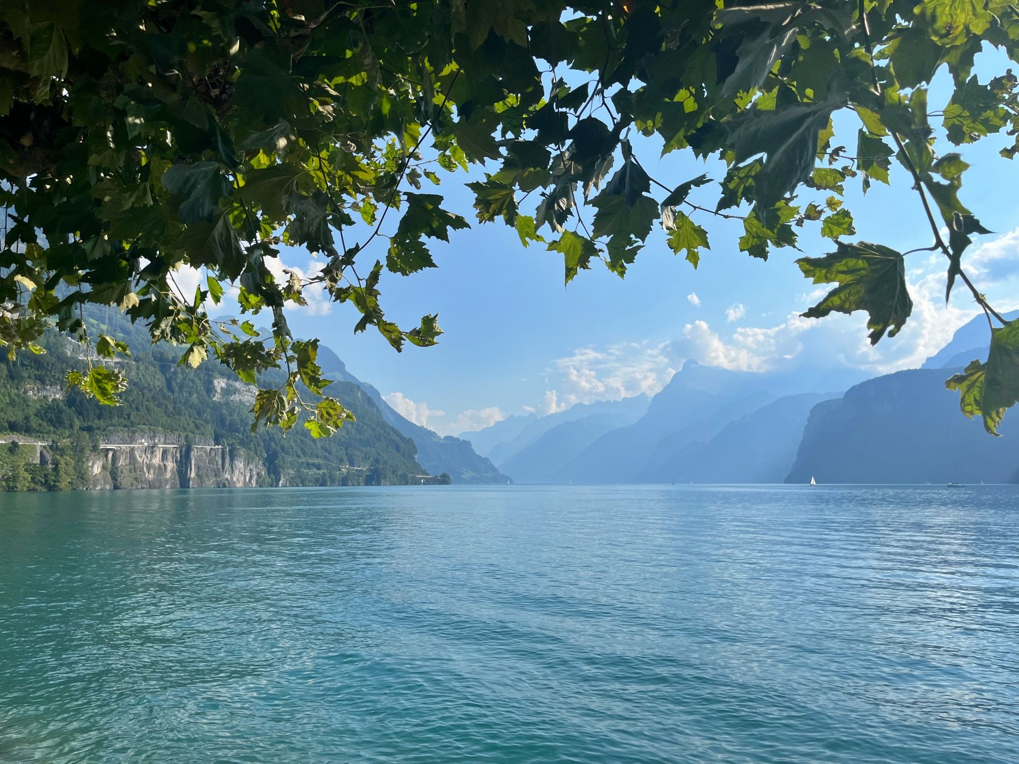 Vierwaldstättersee: idylliskt landskap med berg och klart vatten på sommaren
