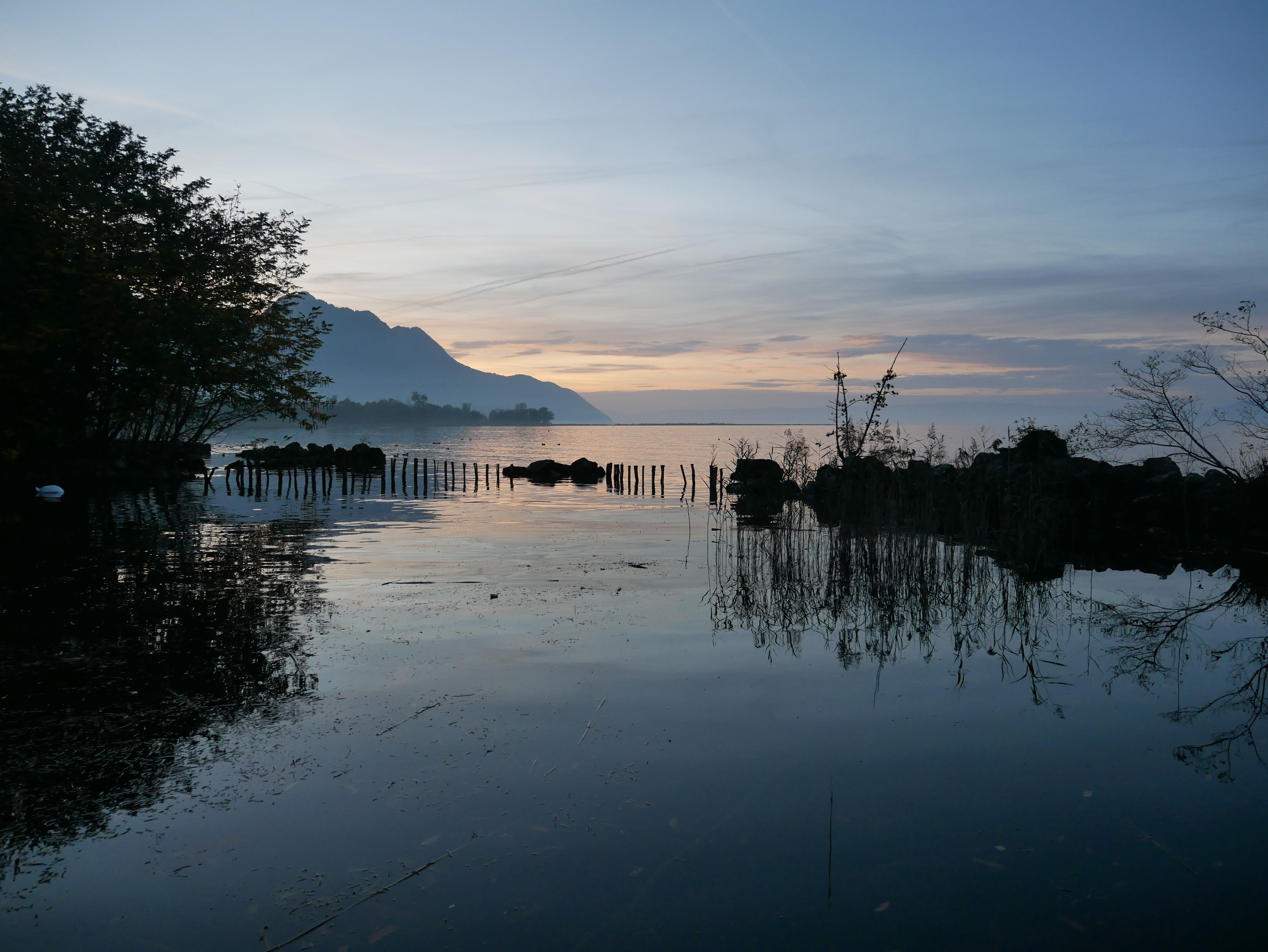 Villeneuve: klidná vodní krajina s horami a přírodou při východu slunce, Švýcarsko