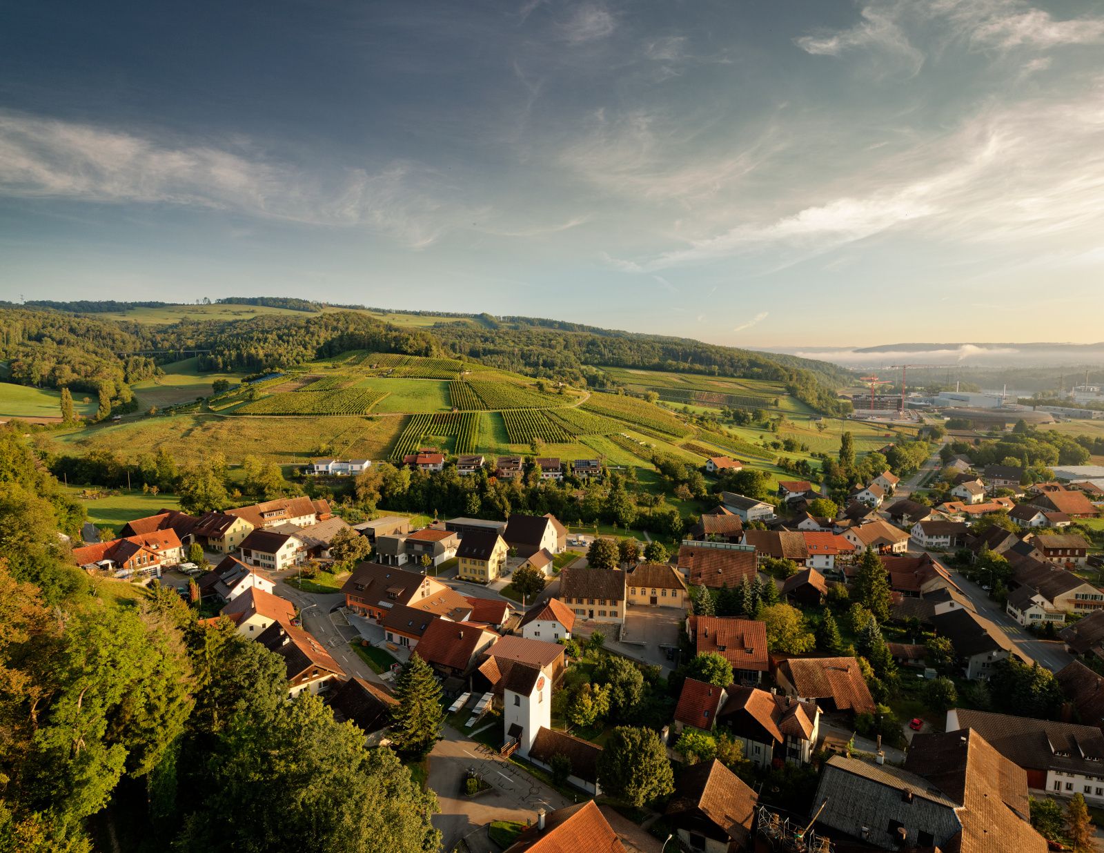 जंगल जड़ी-बूटियों के साथ रोमांच विलीजेन: विलीजेन की मनोहारी प्राकृतिक क्षेत्र की खोज करें।