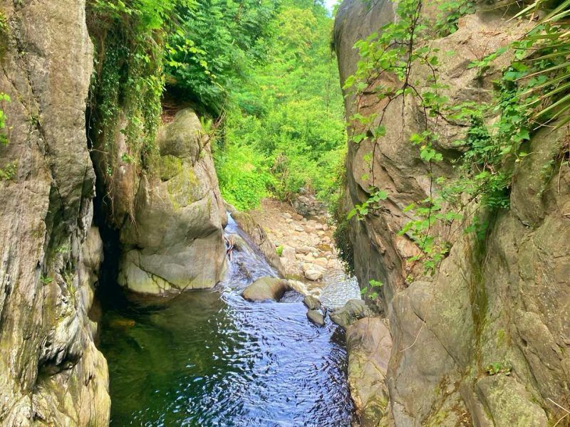 Vira Schlucht, การเดินป่าระหว่างผาหินและริมน้ำเขียว