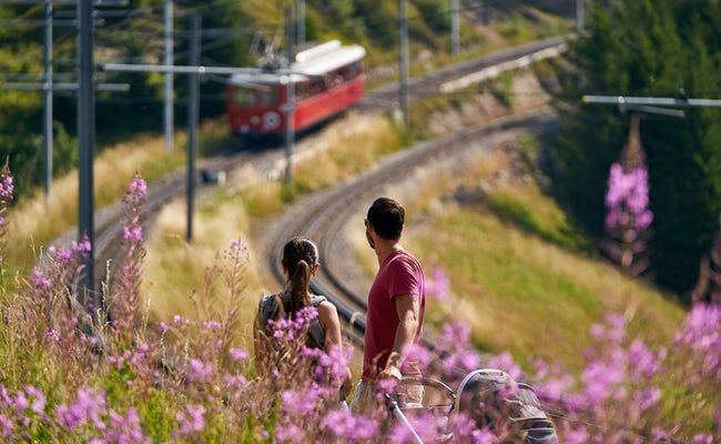 विट्ज़नाऊ ज़ैन्हरबान रविगी ट्रैक पर चल रहा है, फूलों से घिरा हुआ