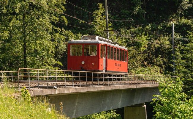 विट्ज़नौ ज़ेनग्राडबान रिगी सुरज की किरणों में एक पुल पर, पेड़ों से घिरा।