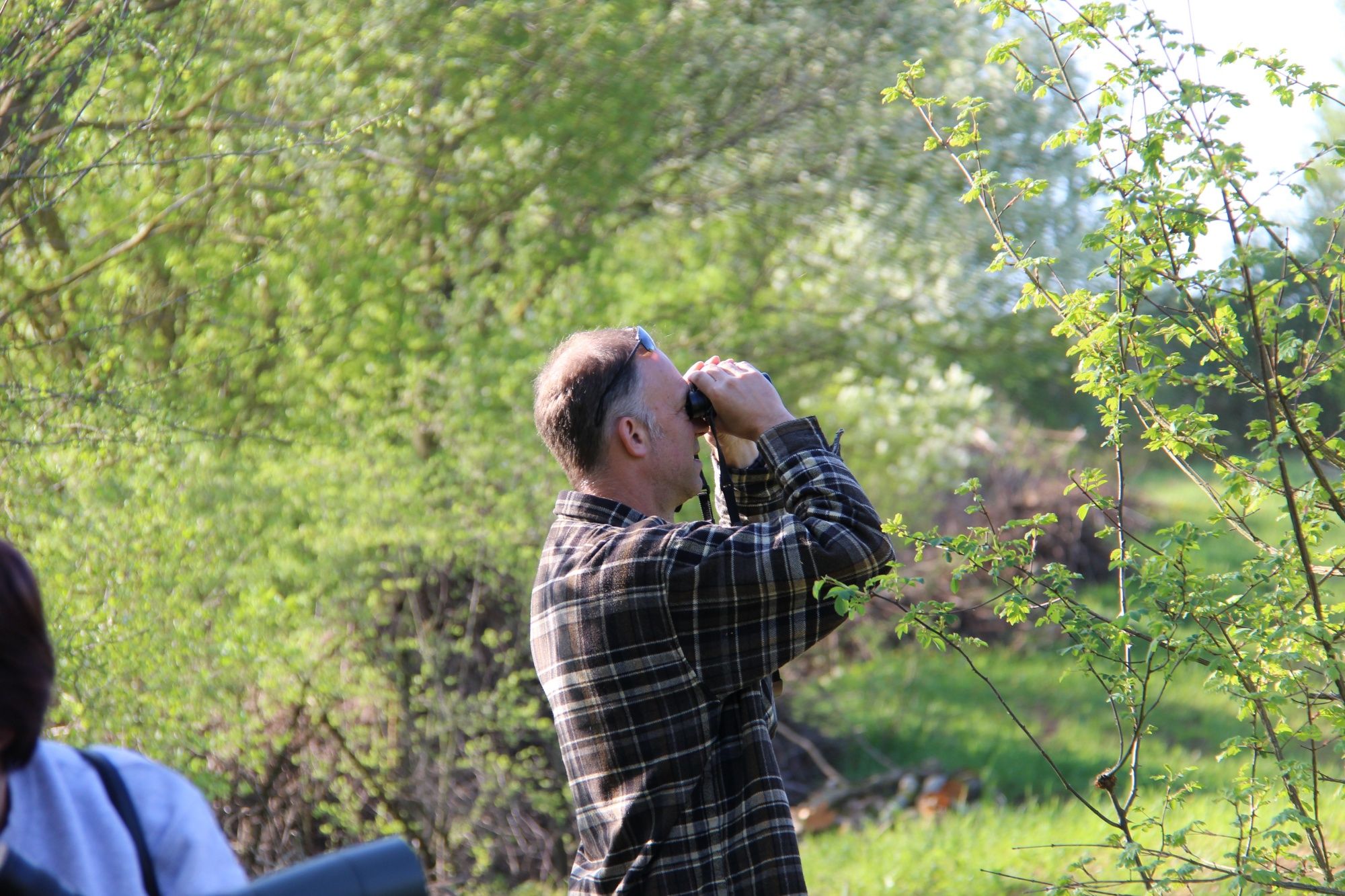 Ptací kurz: Objevování ptáků v přírodě spolu, vybavení a skupinové aktivity.