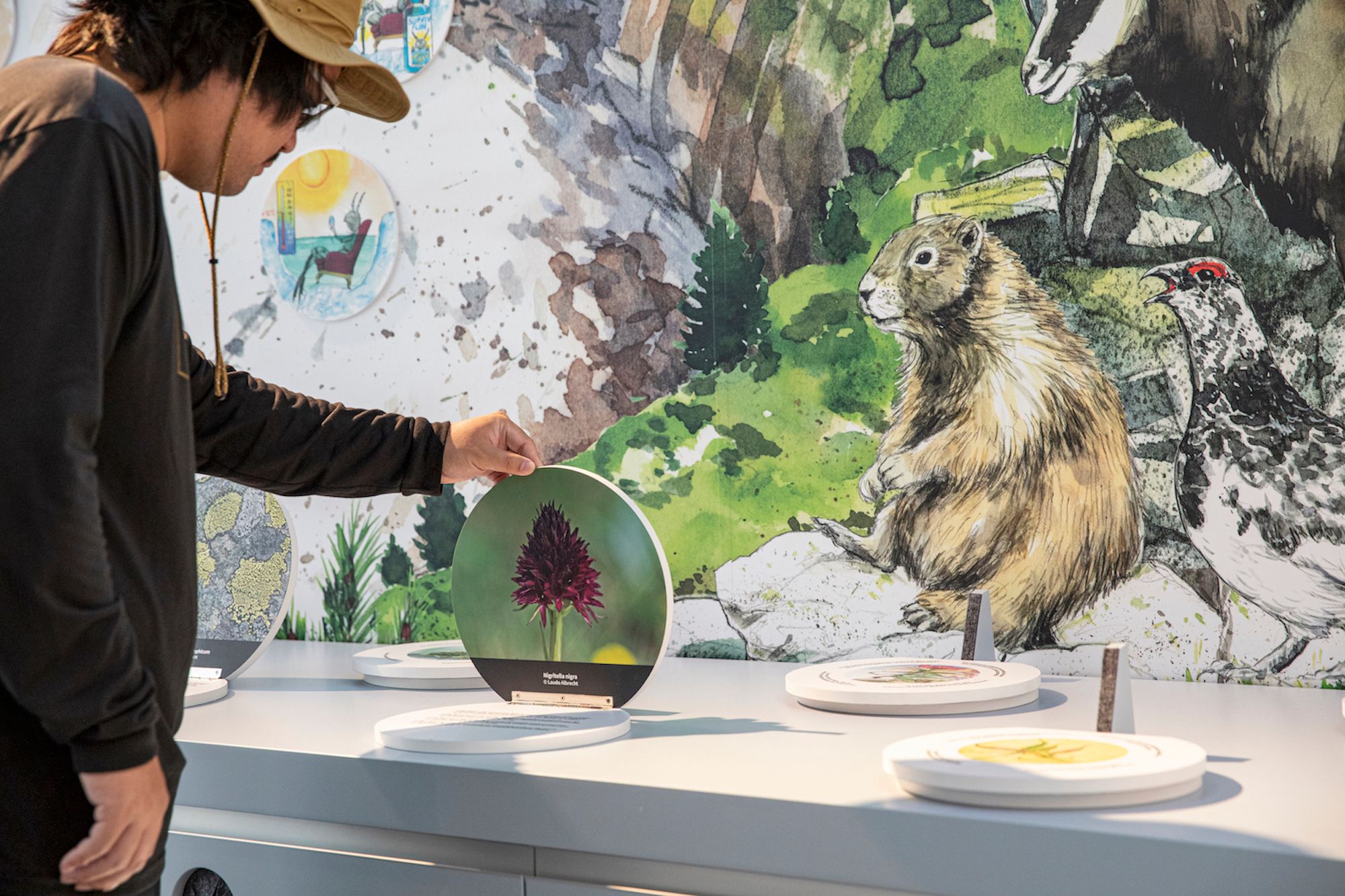 Museo Patrimonio Naturale Mondiale Jungfrau-Aletsch: Informati sulla flora e fauna della regione.